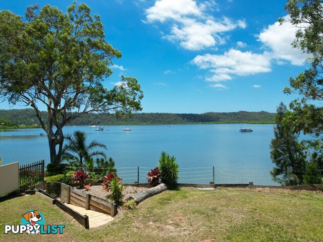 84 Canaipa Point Drive RUSSELL ISLAND QLD 4184
