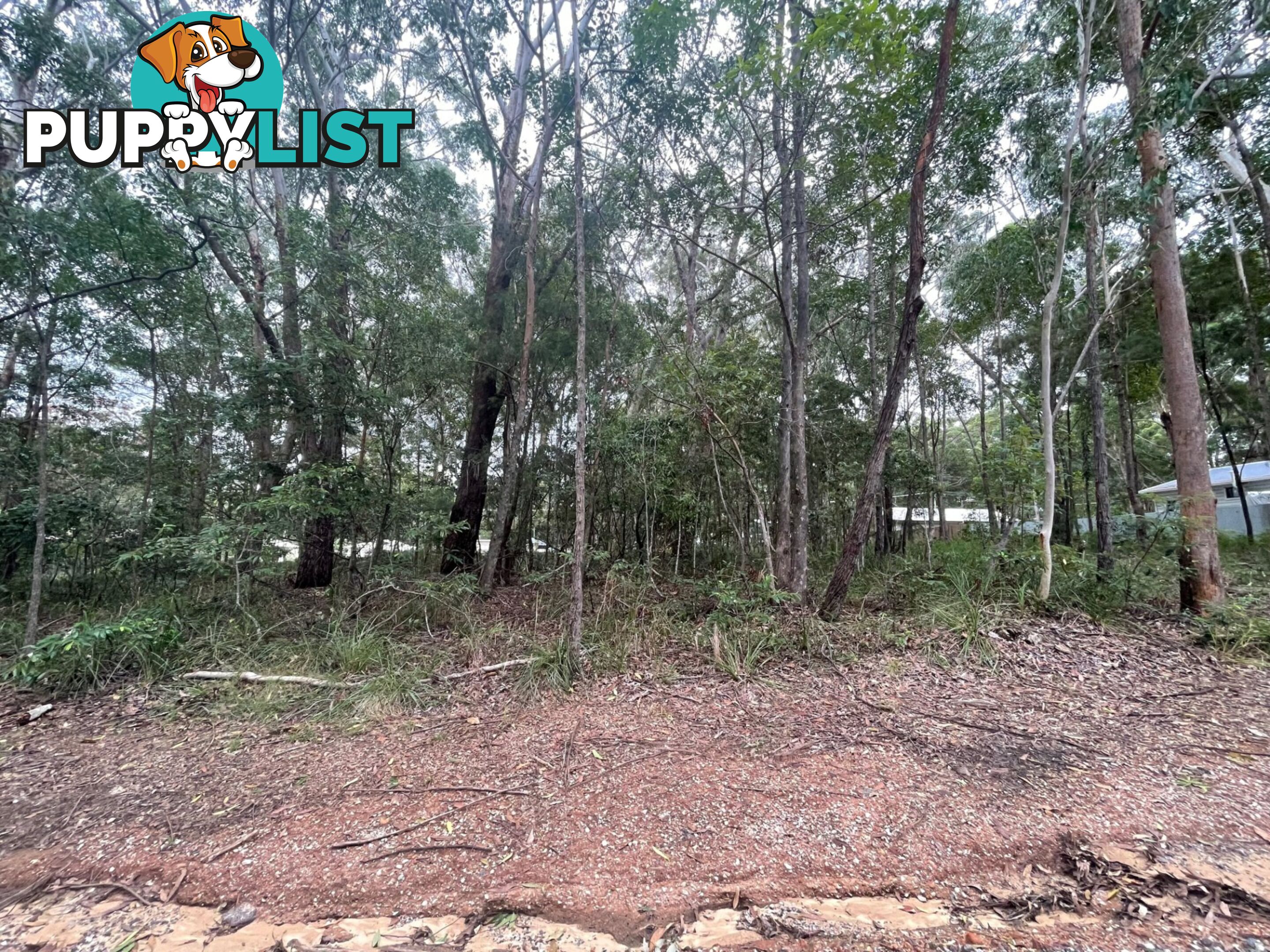 23 Forest Hill Road RUSSELL ISLAND QLD 4184