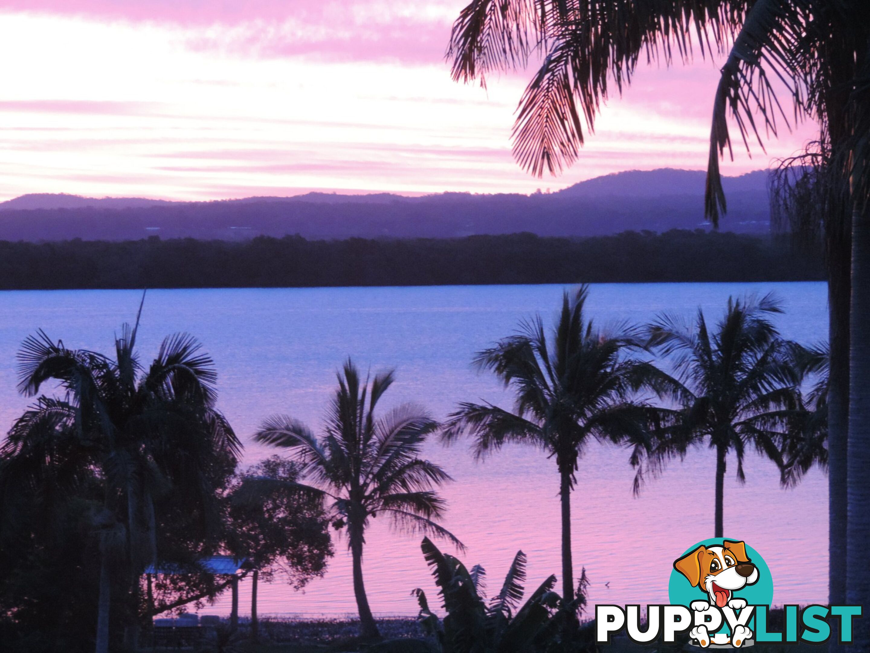 22 Beth Street RUSSELL ISLAND QLD 4184