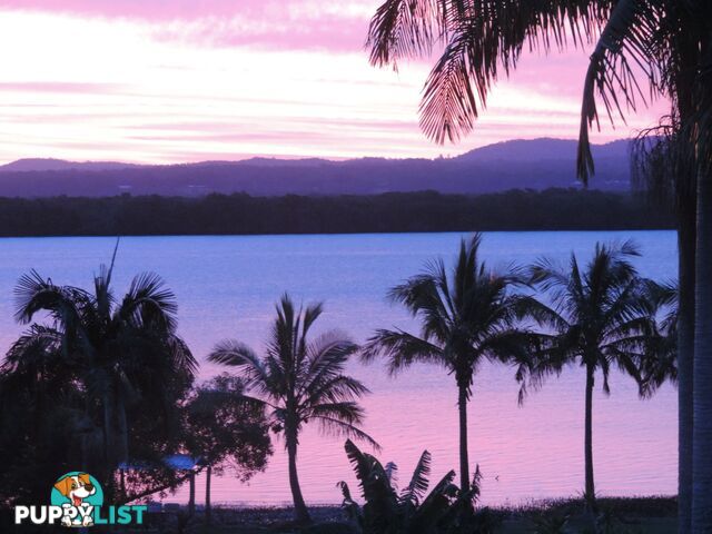 22 Beth Street RUSSELL ISLAND QLD 4184