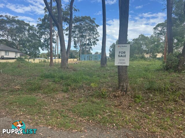 10 Monsoon Street RUSSELL ISLAND QLD 4184