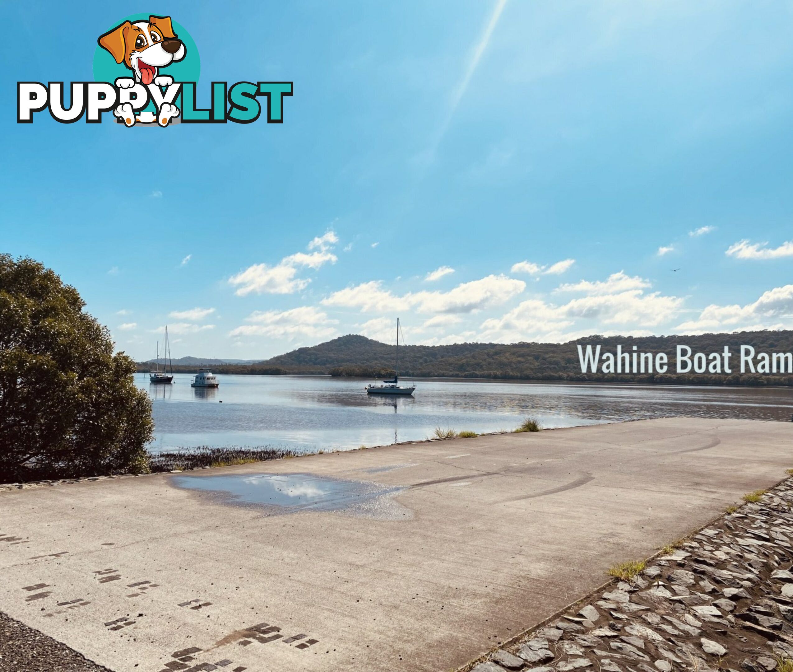 10 Monsoon Street RUSSELL ISLAND QLD 4184