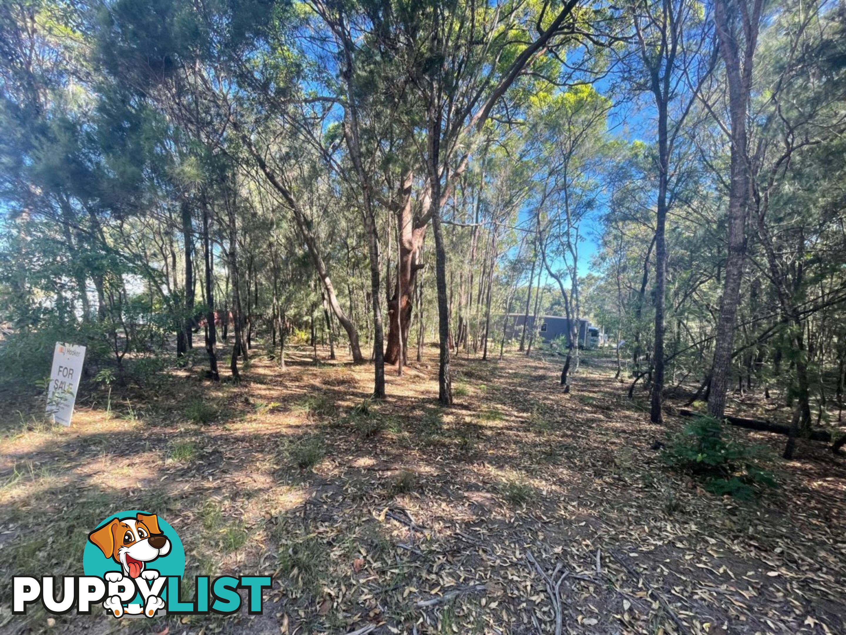 38 Tahlin Drive RUSSELL ISLAND QLD 4184