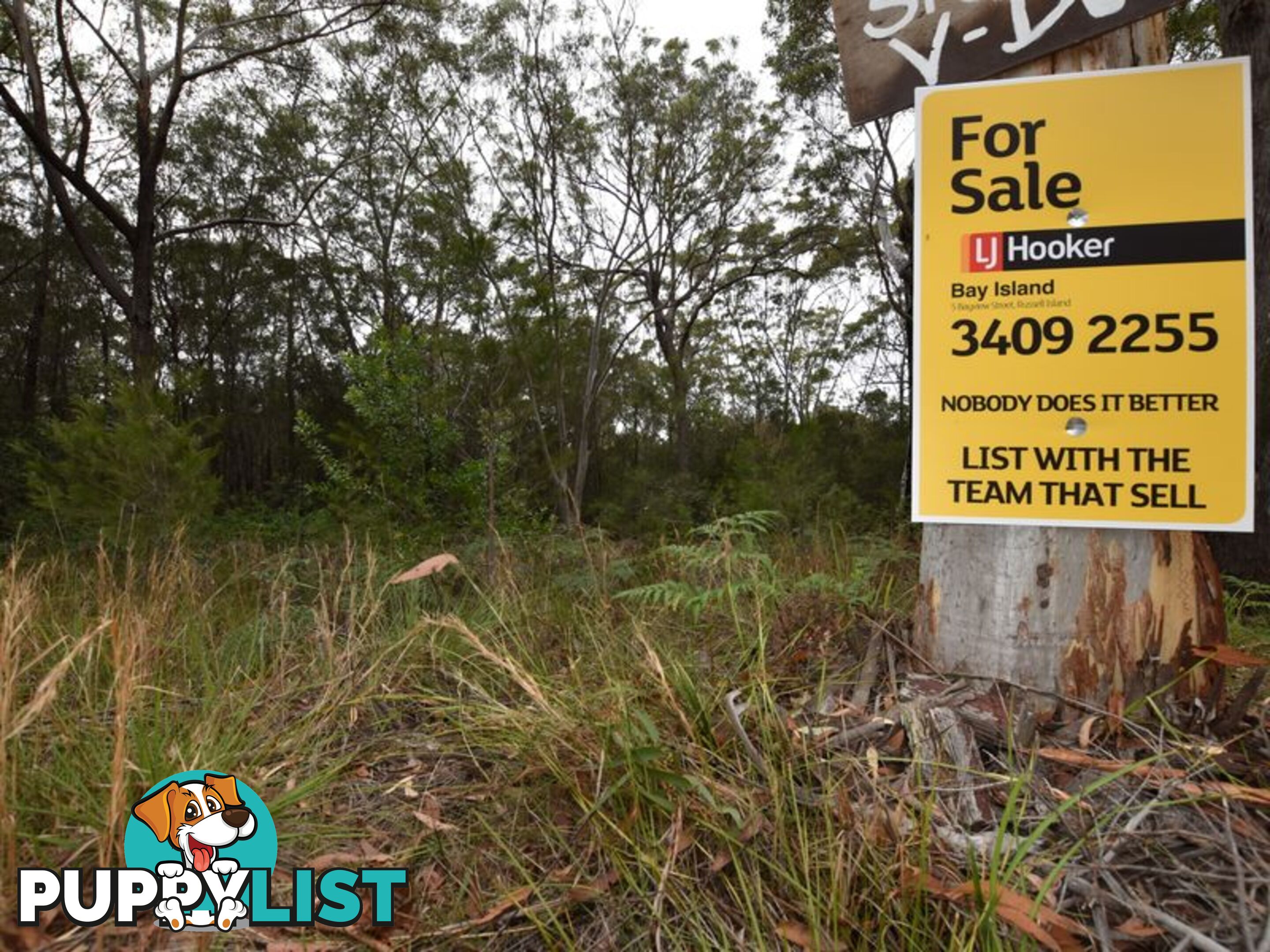 1 Jupiter Street RUSSELL ISLAND QLD 4184