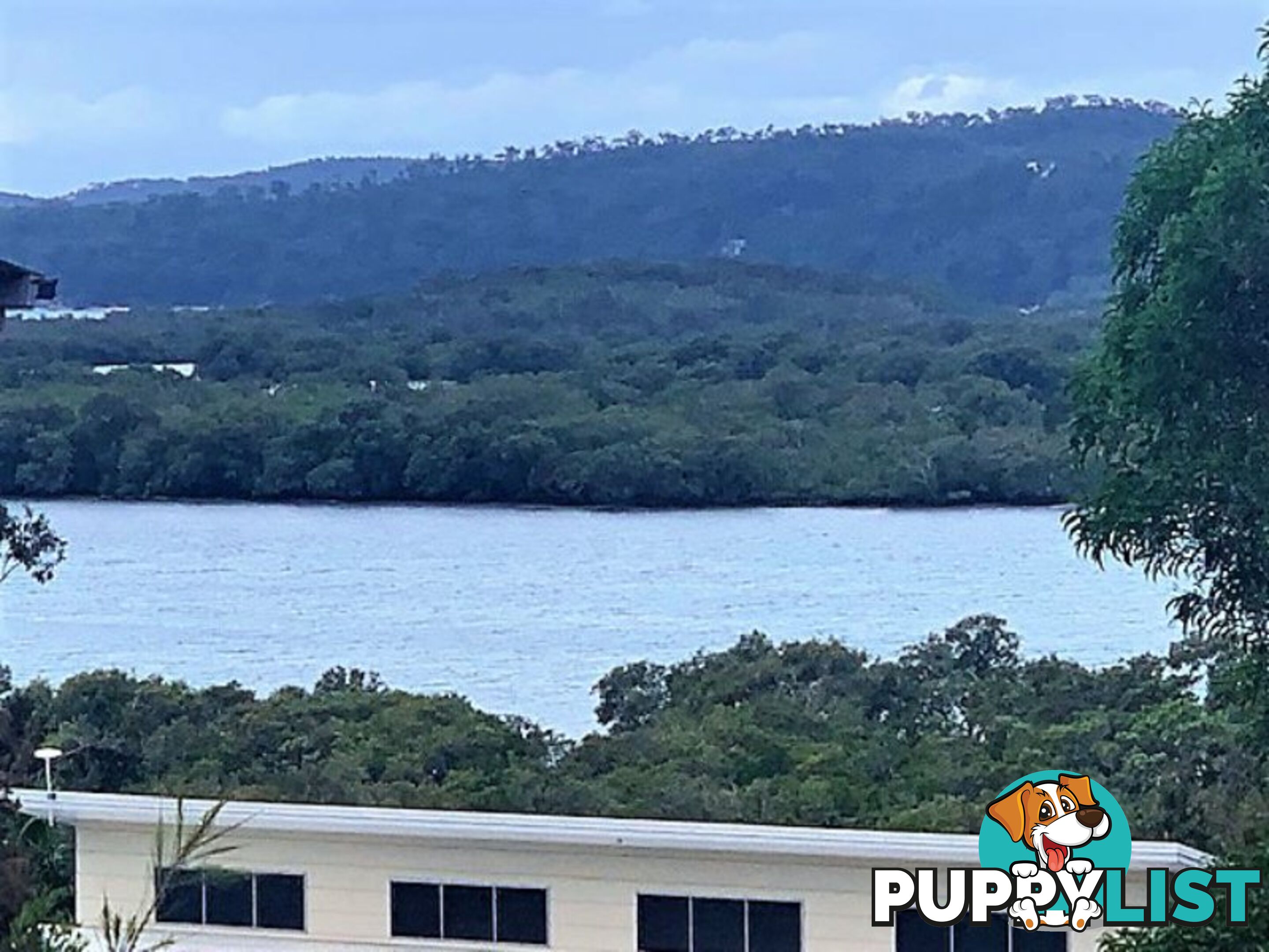 13 Opal Court RUSSELL ISLAND QLD 4184