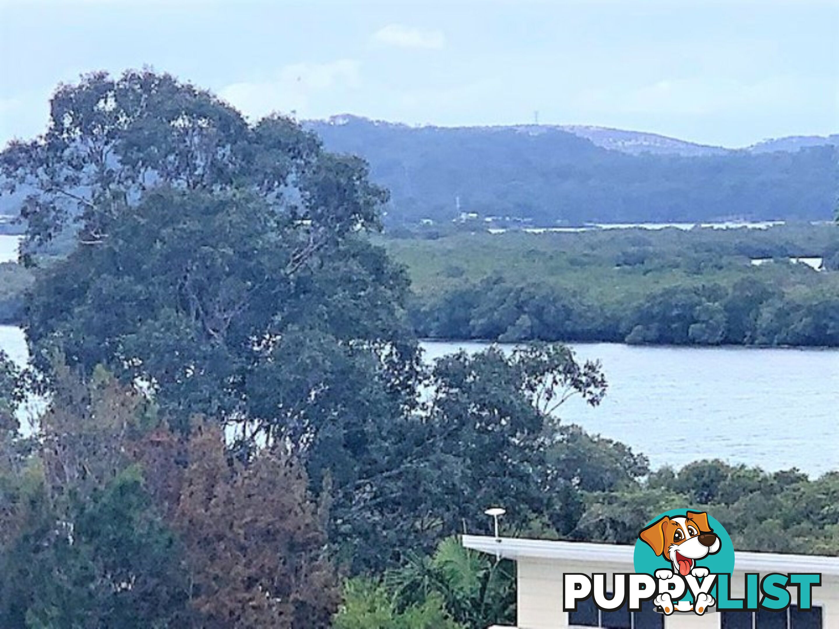 13 Opal Court RUSSELL ISLAND QLD 4184