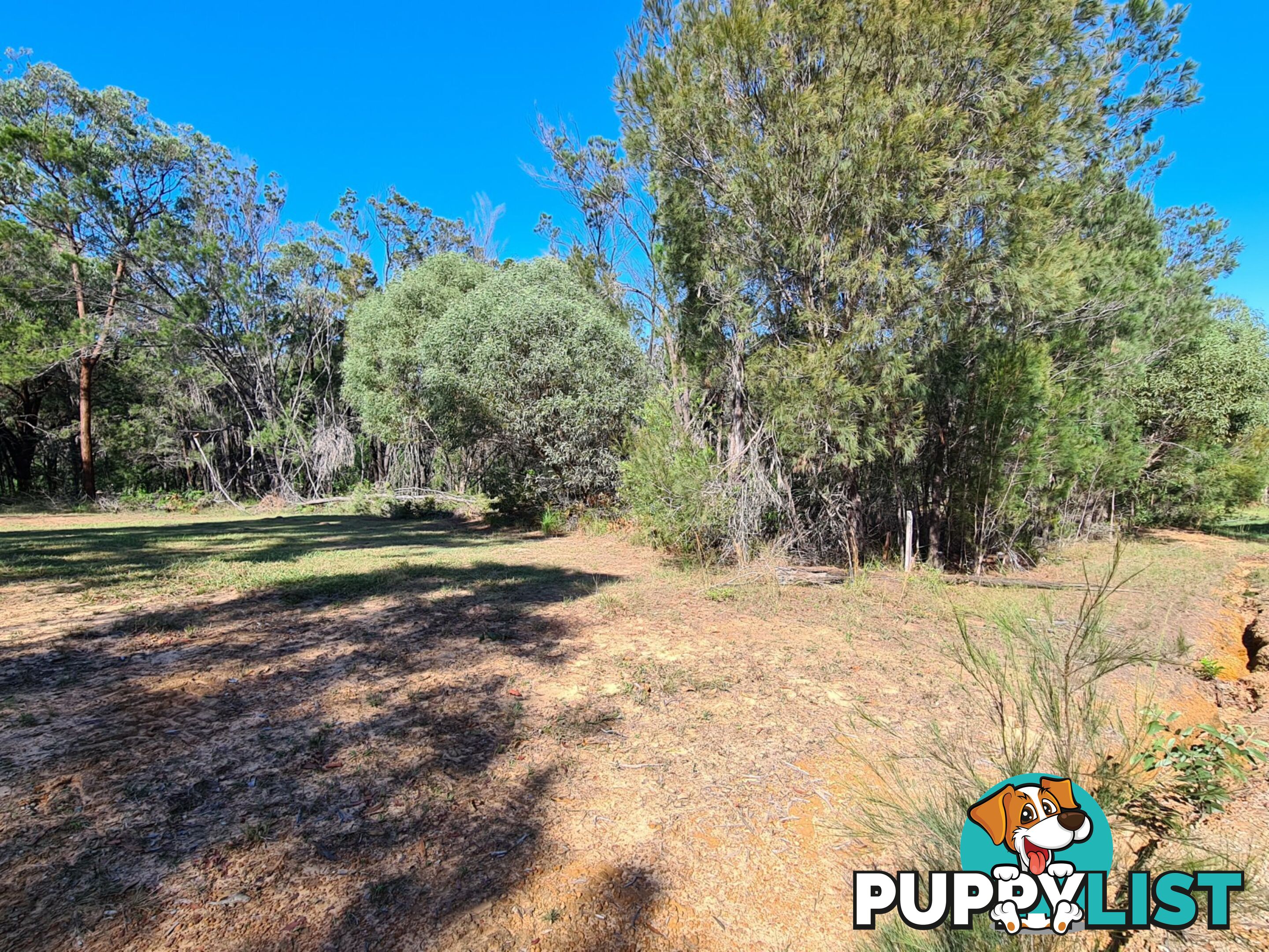 10 Cutler Drive RUSSELL ISLAND QLD 4184