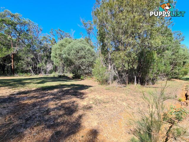 10 Cutler Drive RUSSELL ISLAND QLD 4184