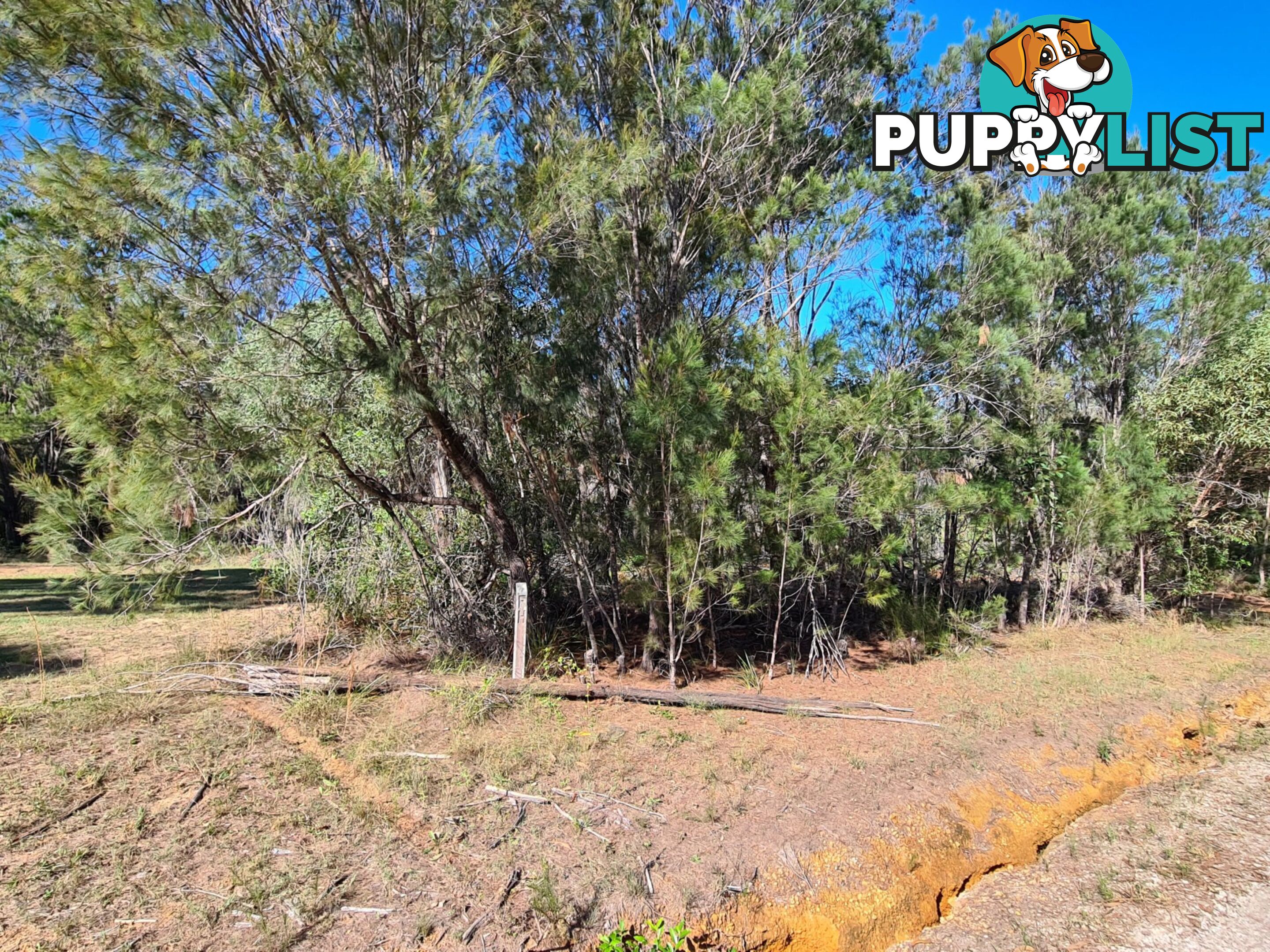 10 Cutler Drive RUSSELL ISLAND QLD 4184