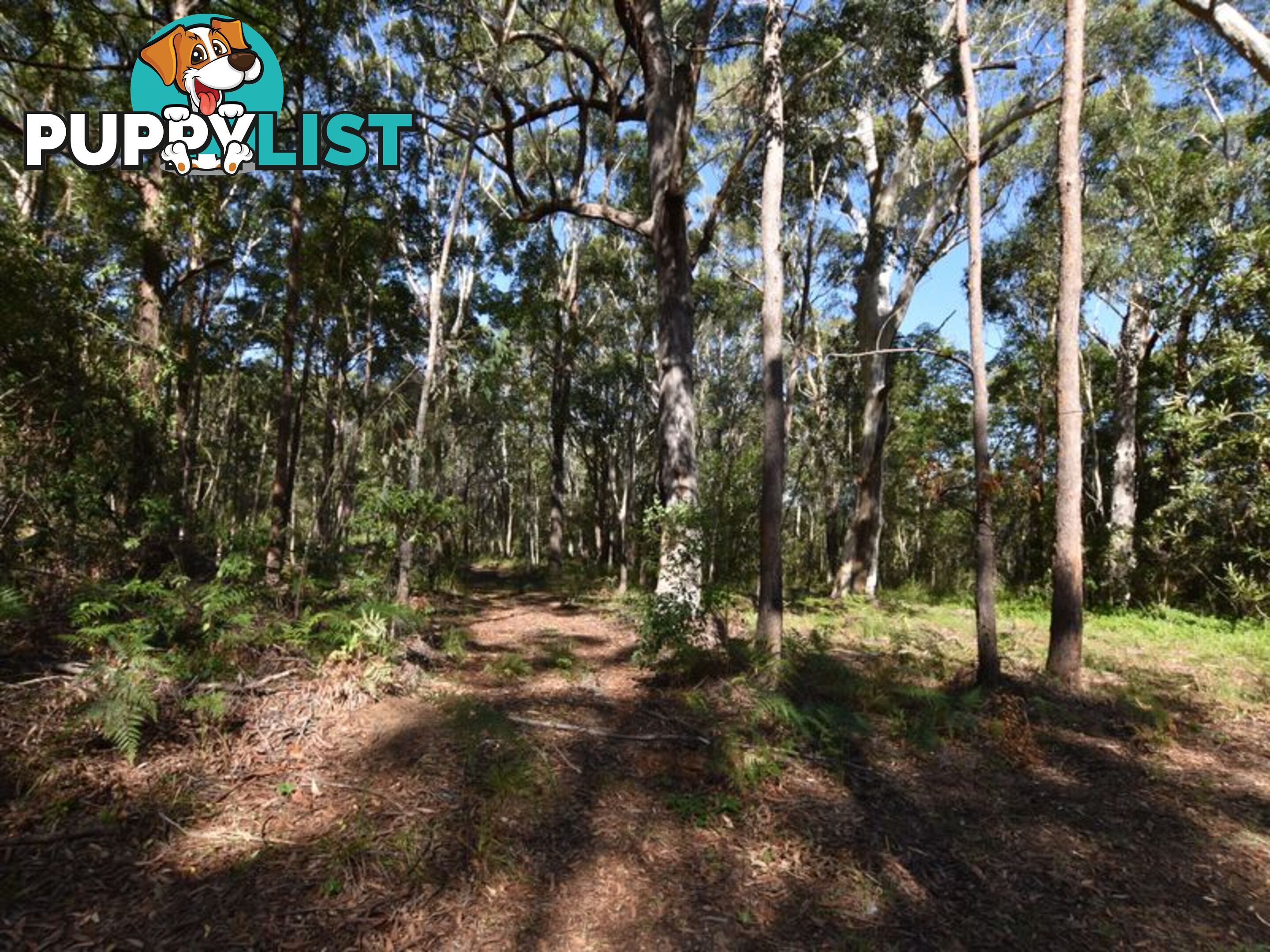 40 Currong RUSSELL ISLAND QLD 4184