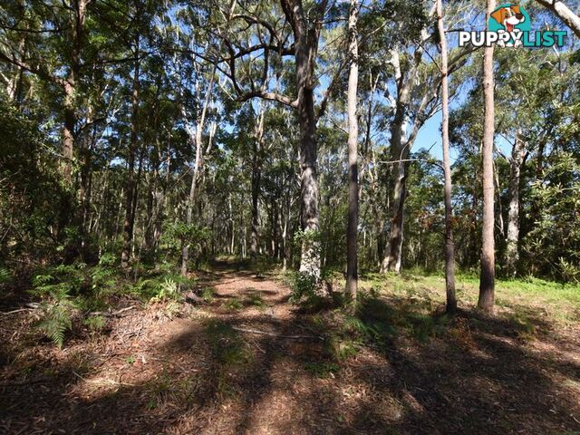 40 Currong RUSSELL ISLAND QLD 4184