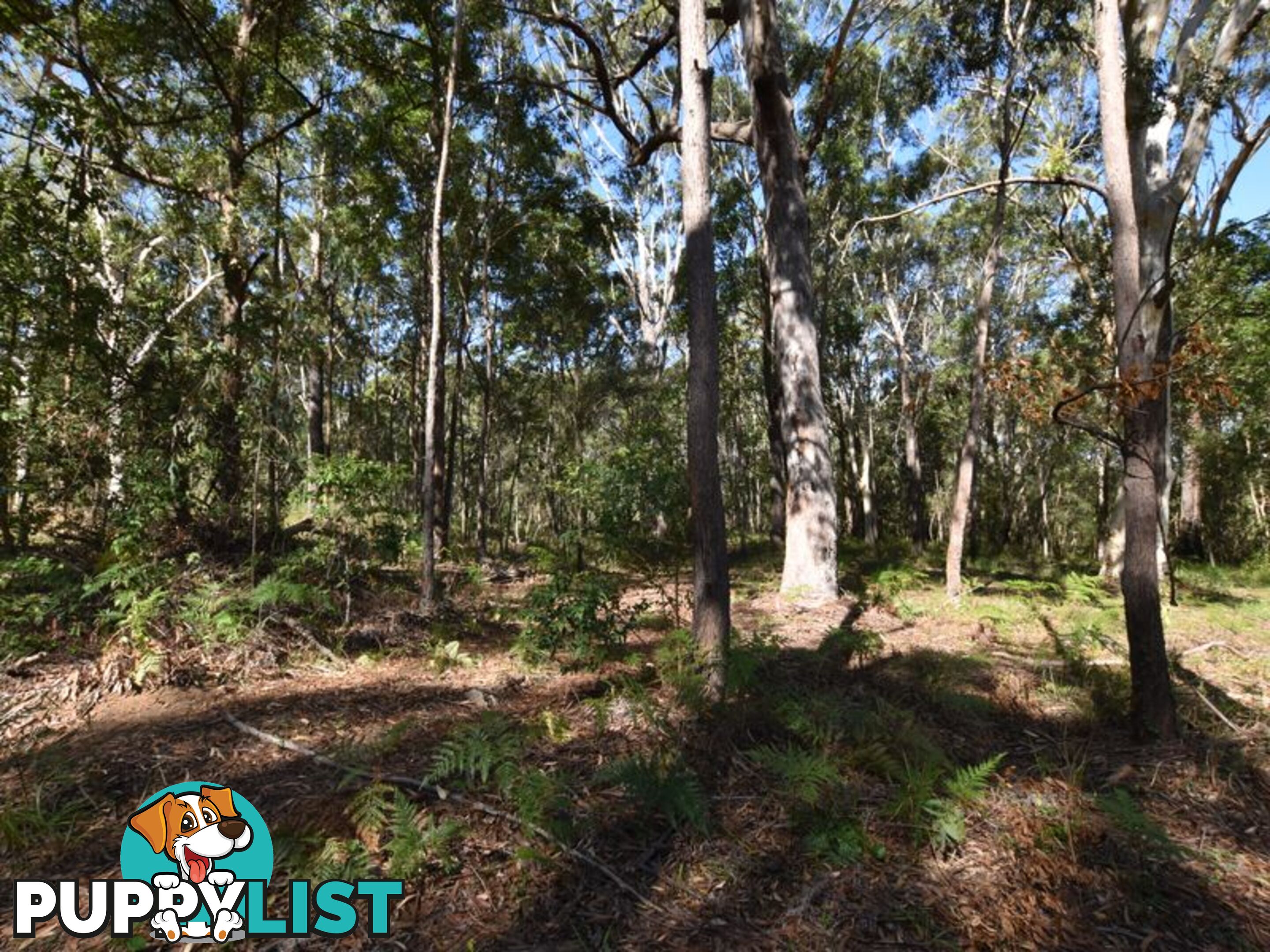 40 Currong RUSSELL ISLAND QLD 4184