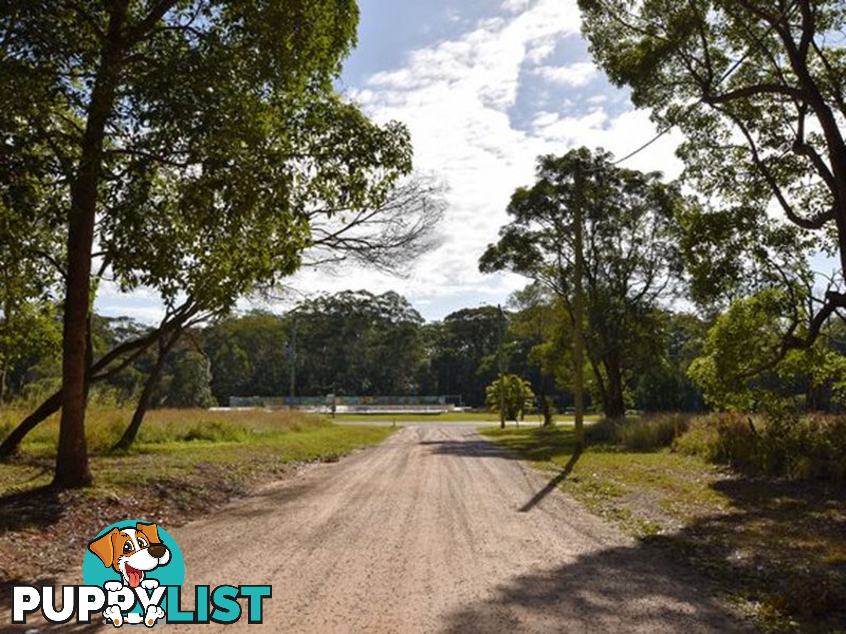 8 Lindwall Street RUSSELL ISLAND QLD 4184