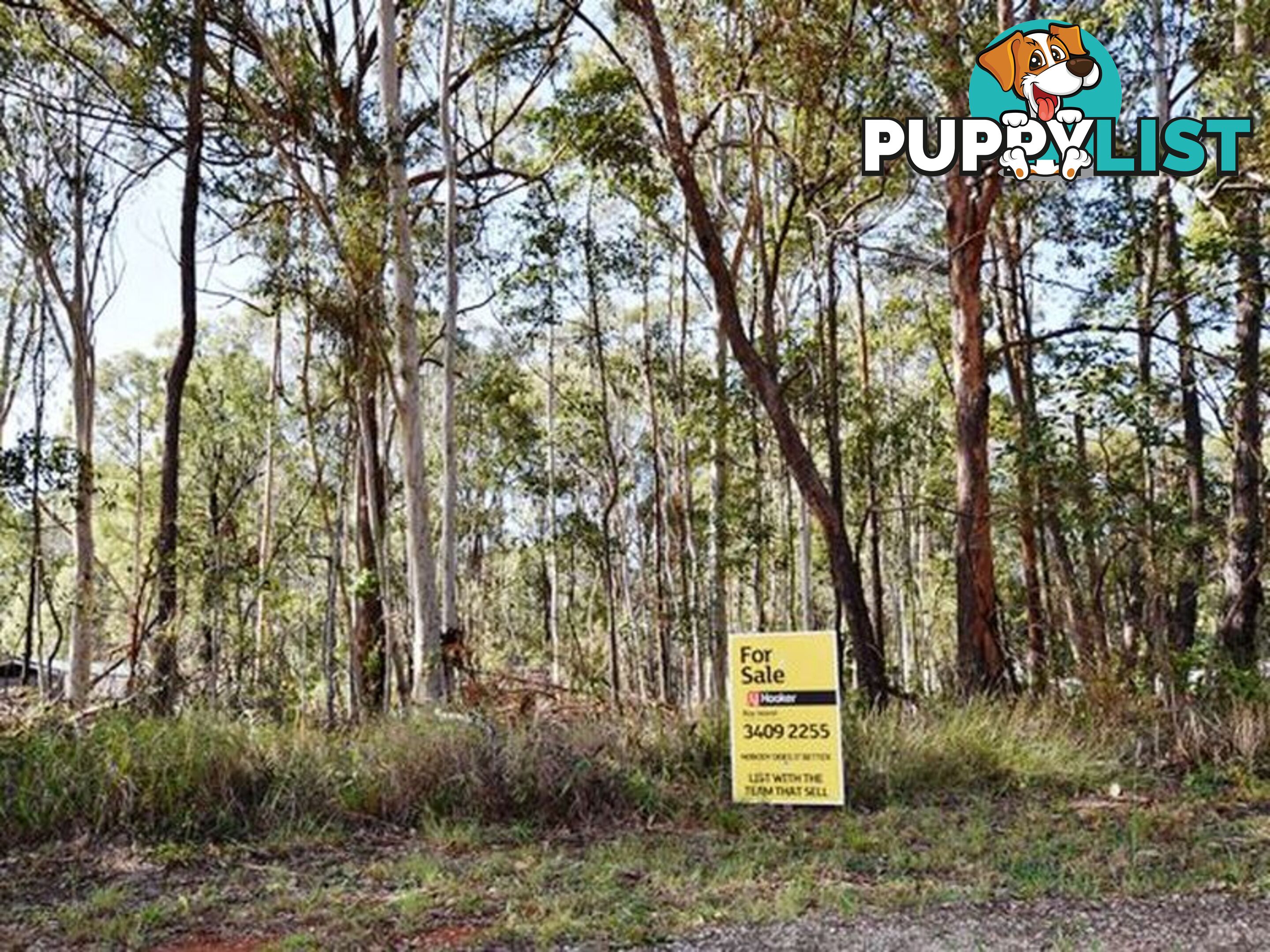 8 Lindwall Street RUSSELL ISLAND QLD 4184