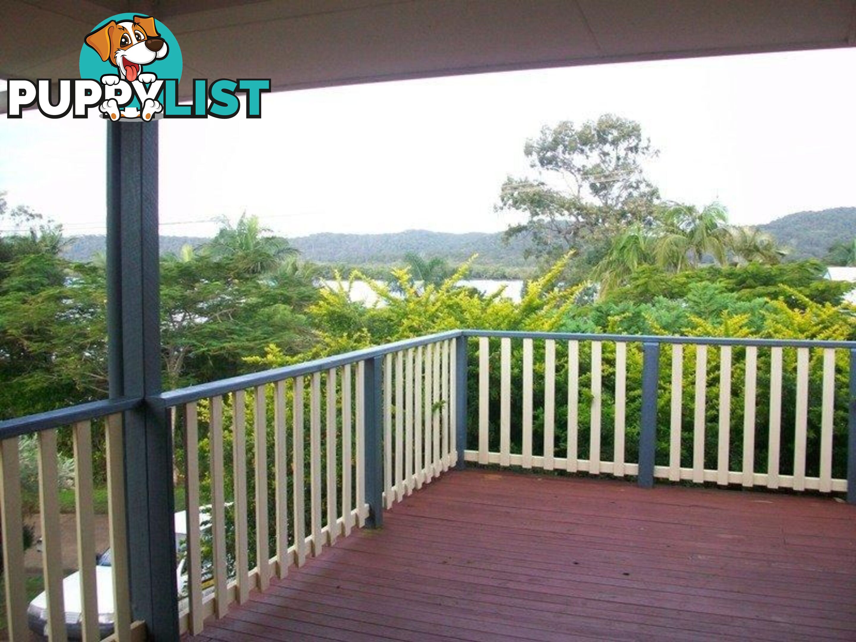 11 Oasis  drive RUSSELL ISLAND QLD 4184