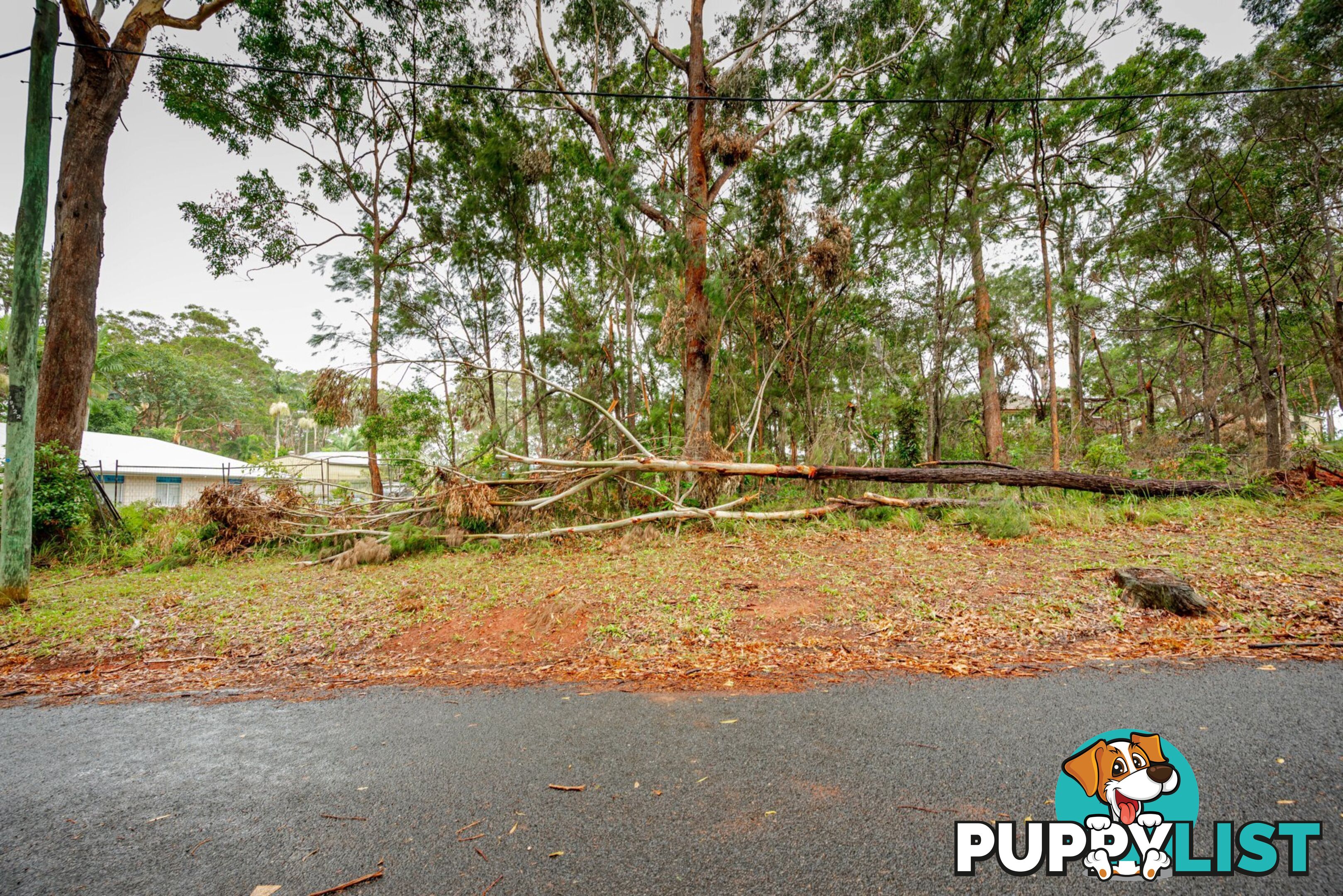33 Bradman Street RUSSELL ISLAND QLD 4184