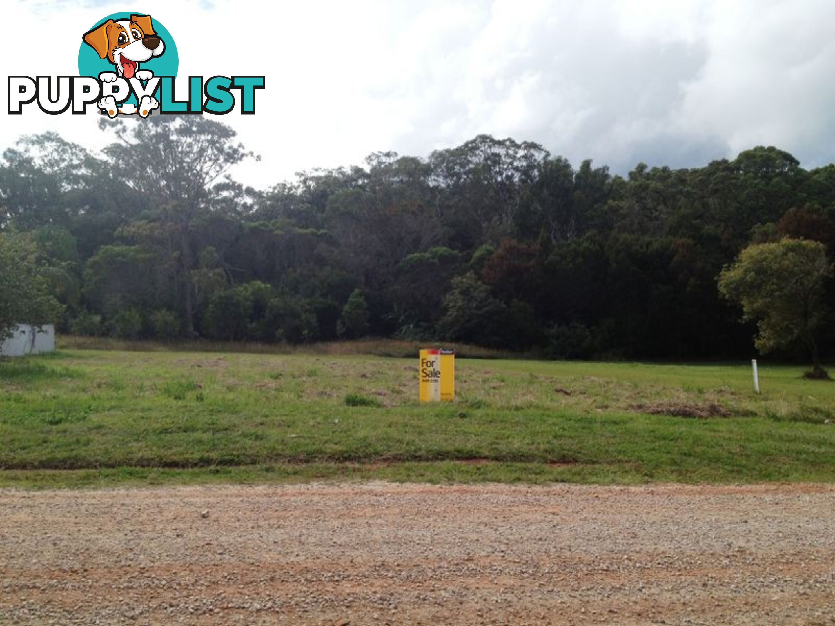 33 Tails St RUSSELL ISLAND QLD 4184