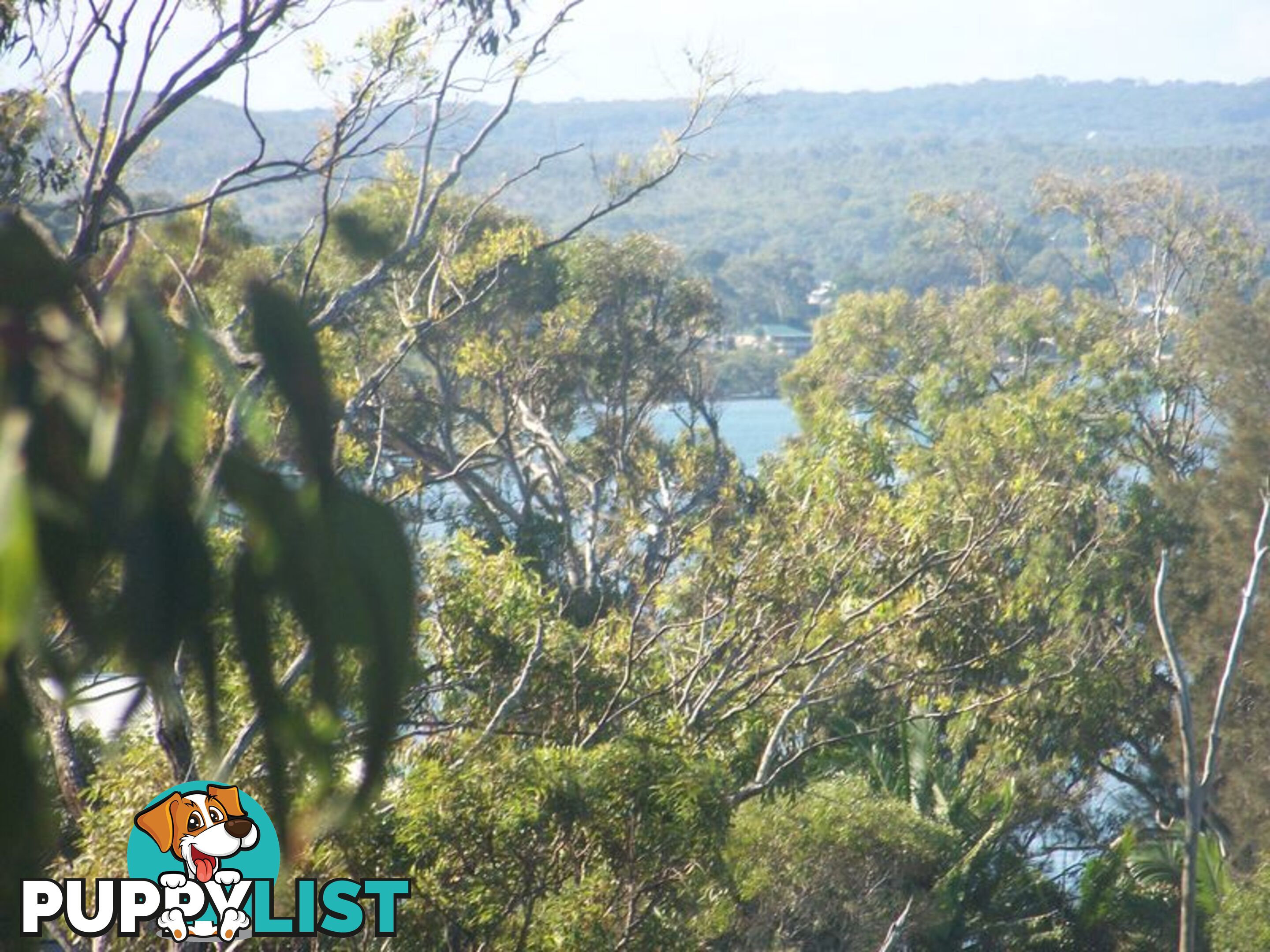 20 Opal COURT RUSSELL ISLAND QLD 4184