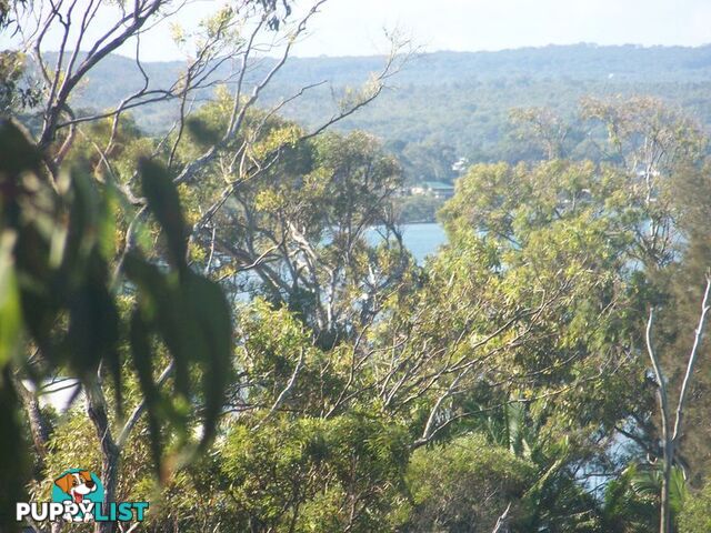 20 Opal COURT RUSSELL ISLAND QLD 4184