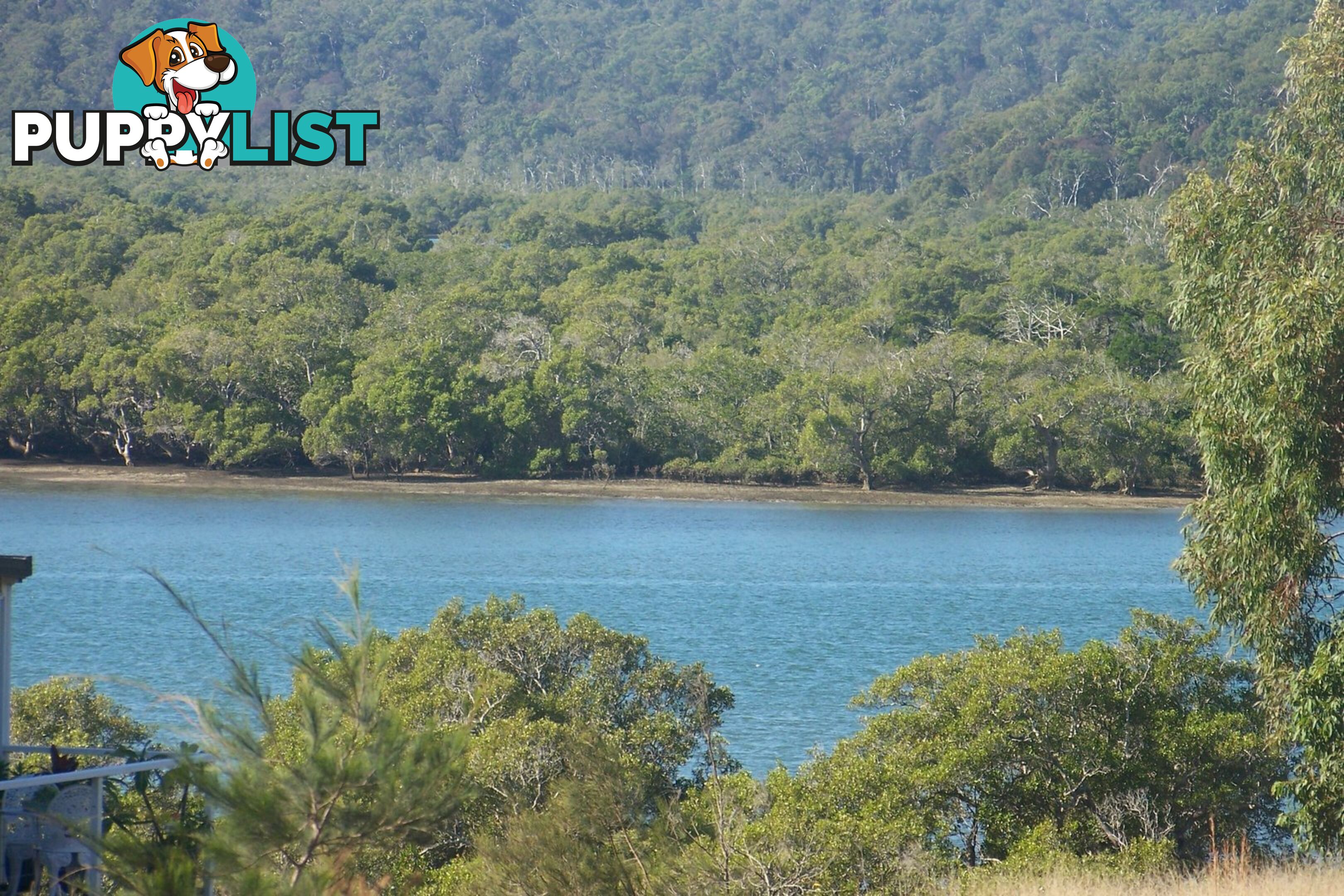 20 Opal COURT RUSSELL ISLAND QLD 4184