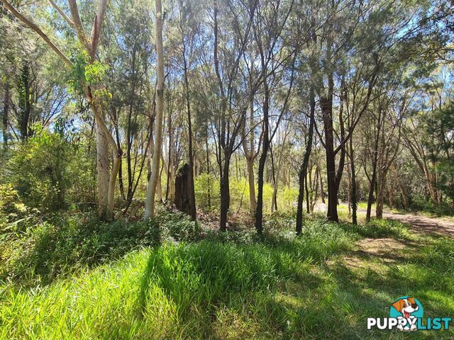 5 Seaward Drive RUSSELL ISLAND QLD 4184