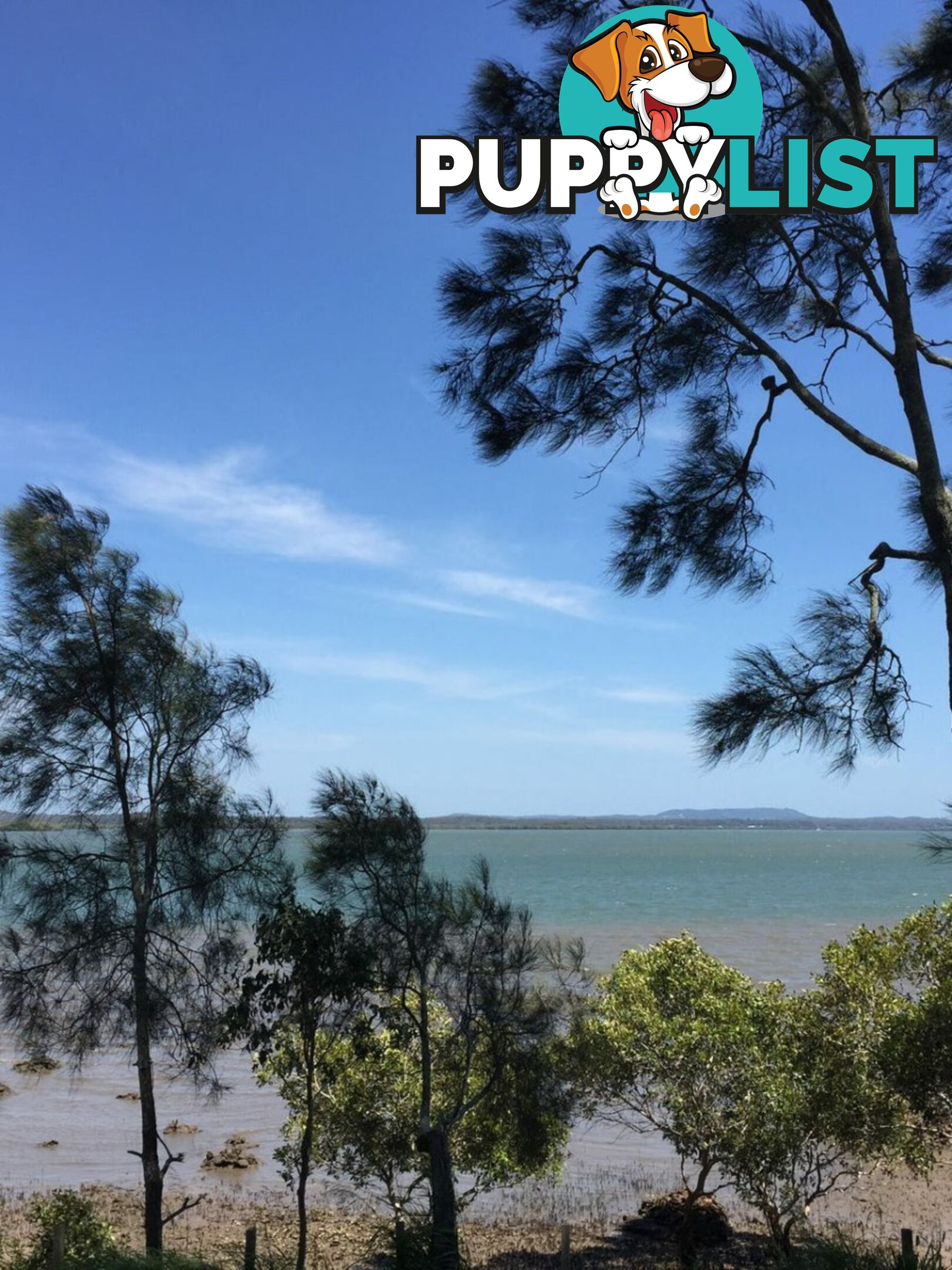 67 Bangalow Street RUSSELL ISLAND QLD 4184