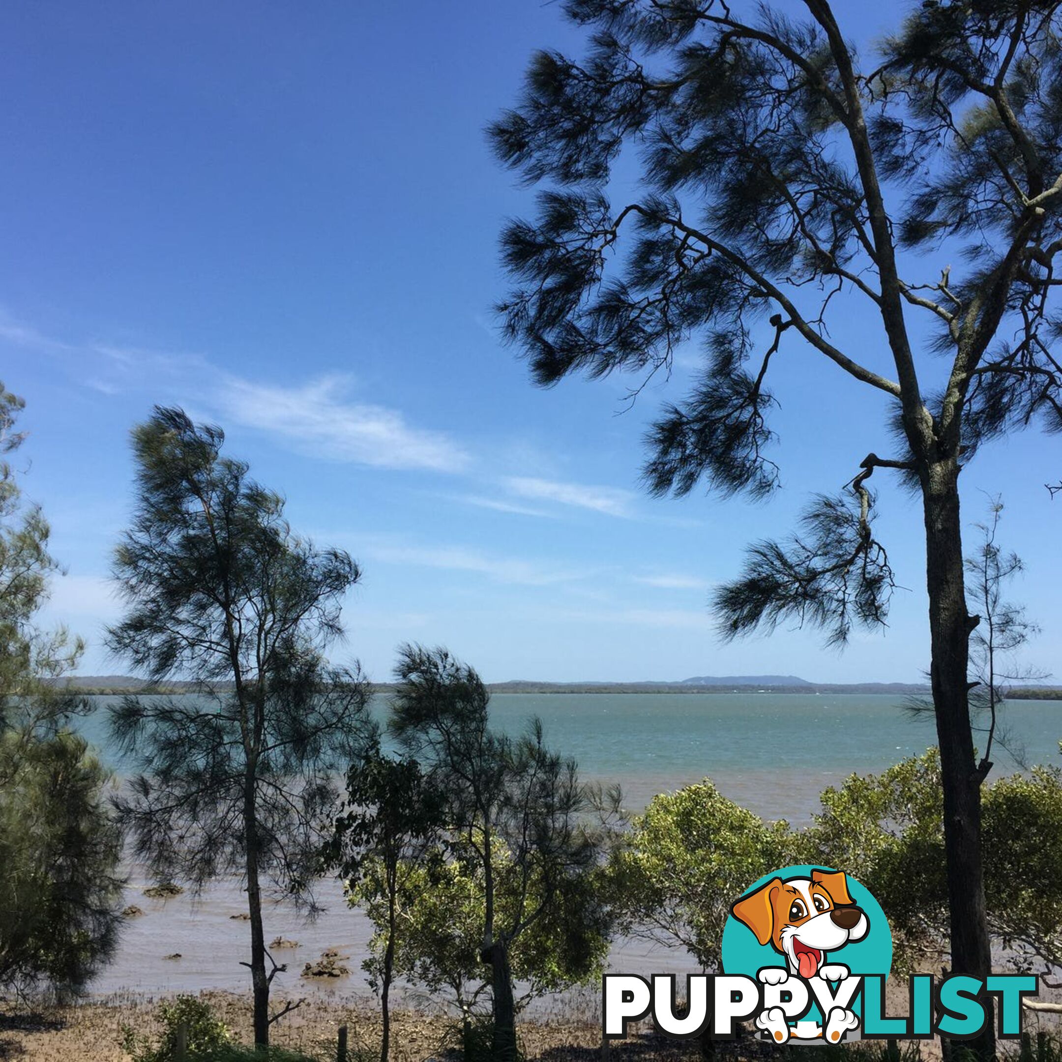 67 Bangalow Street RUSSELL ISLAND QLD 4184