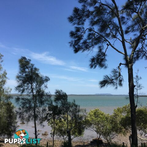 67 Bangalow Street RUSSELL ISLAND QLD 4184