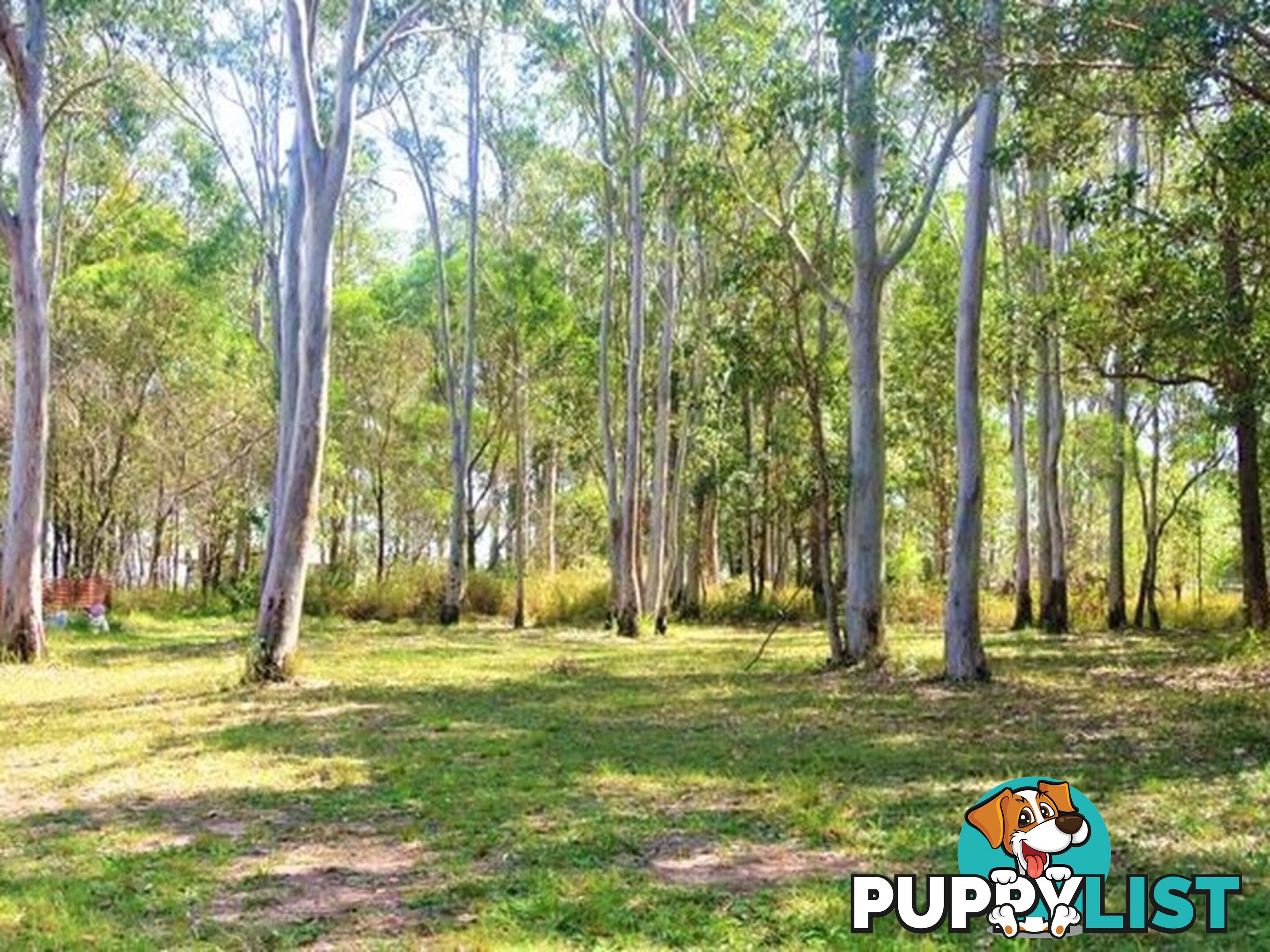9 Maher Ave RUSSELL ISLAND QLD 4184