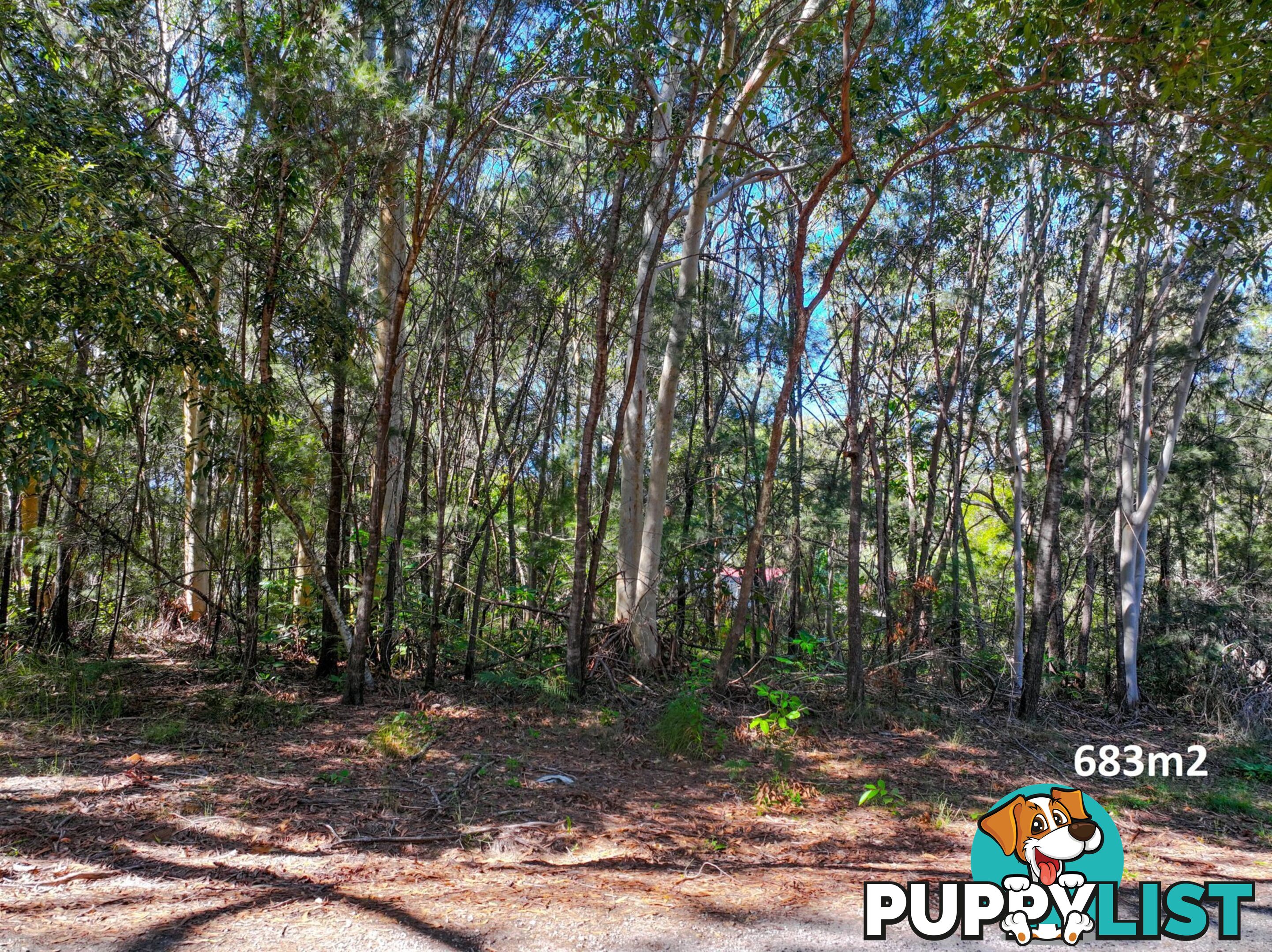 9 Frangipanni Street RUSSELL ISLAND QLD 4184