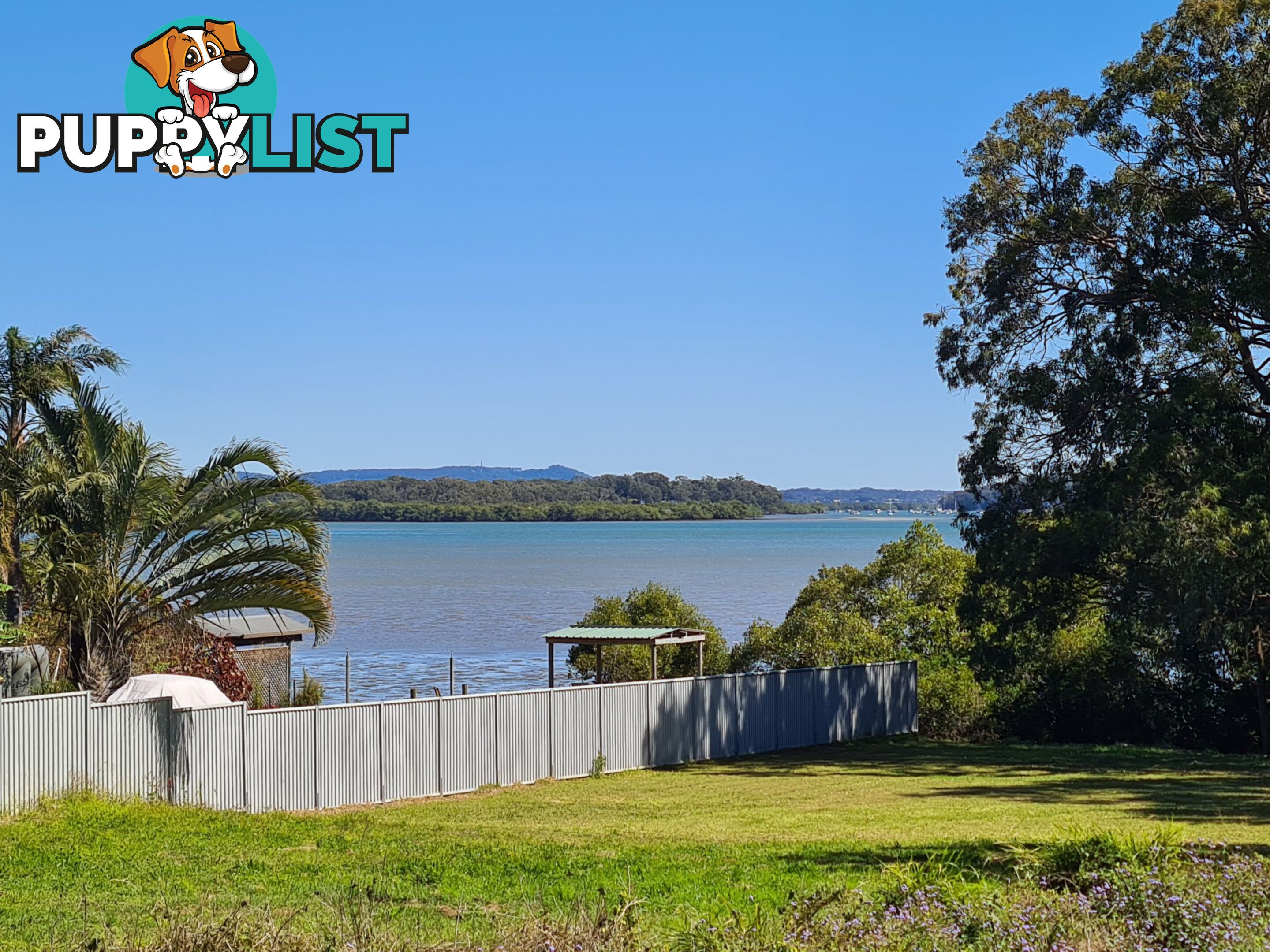 89 Canaipa Point Drive RUSSELL ISLAND QLD 4184