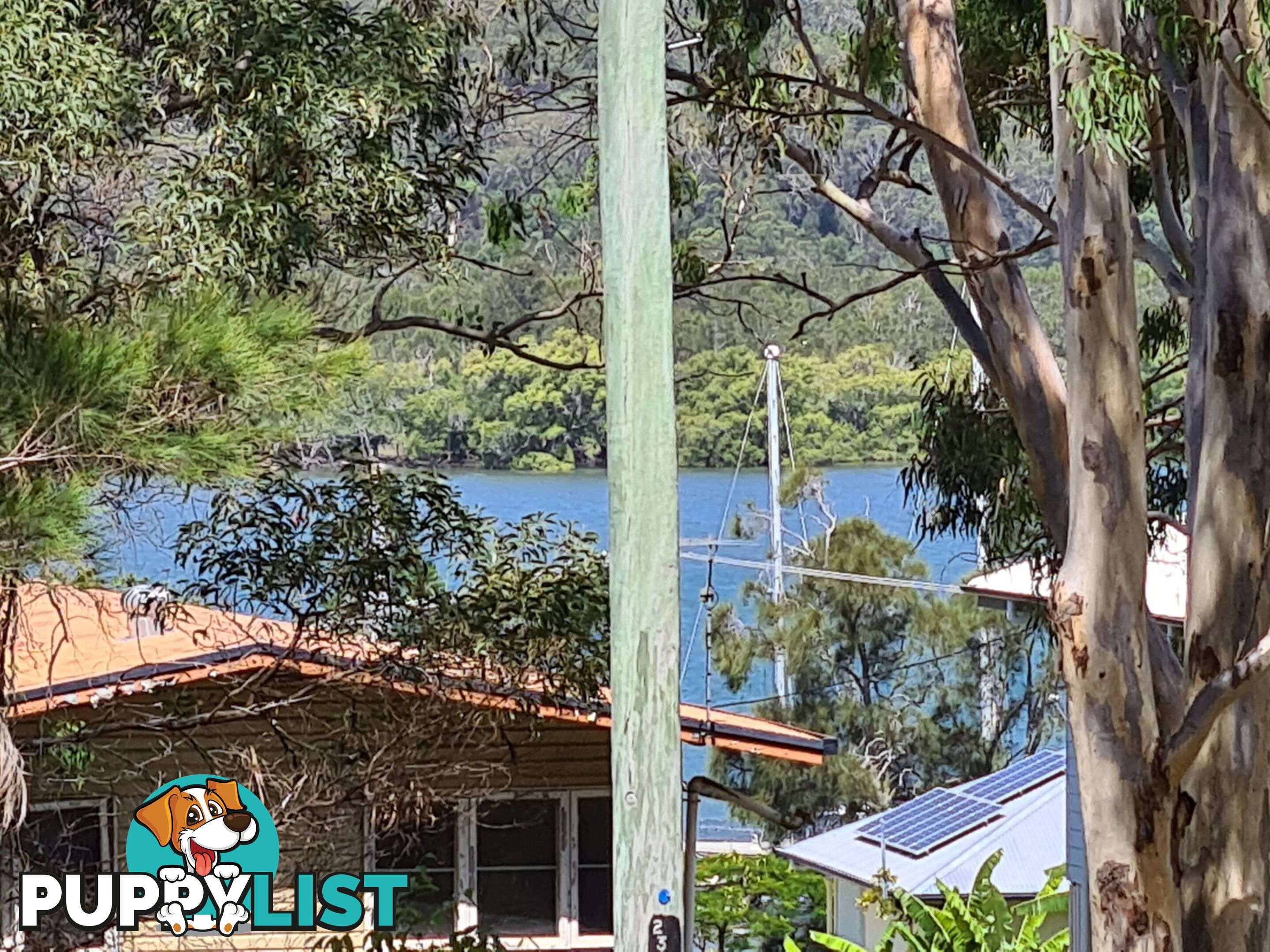 6 Island View Road RUSSELL ISLAND QLD 4184