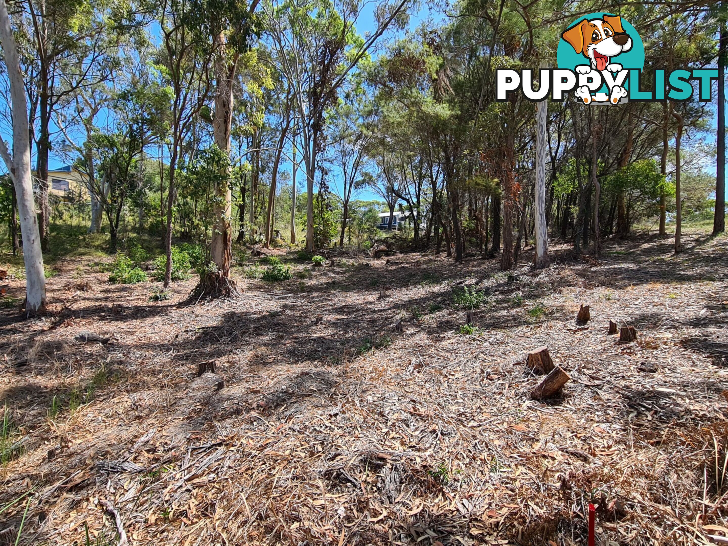 6 Island View Road RUSSELL ISLAND QLD 4184