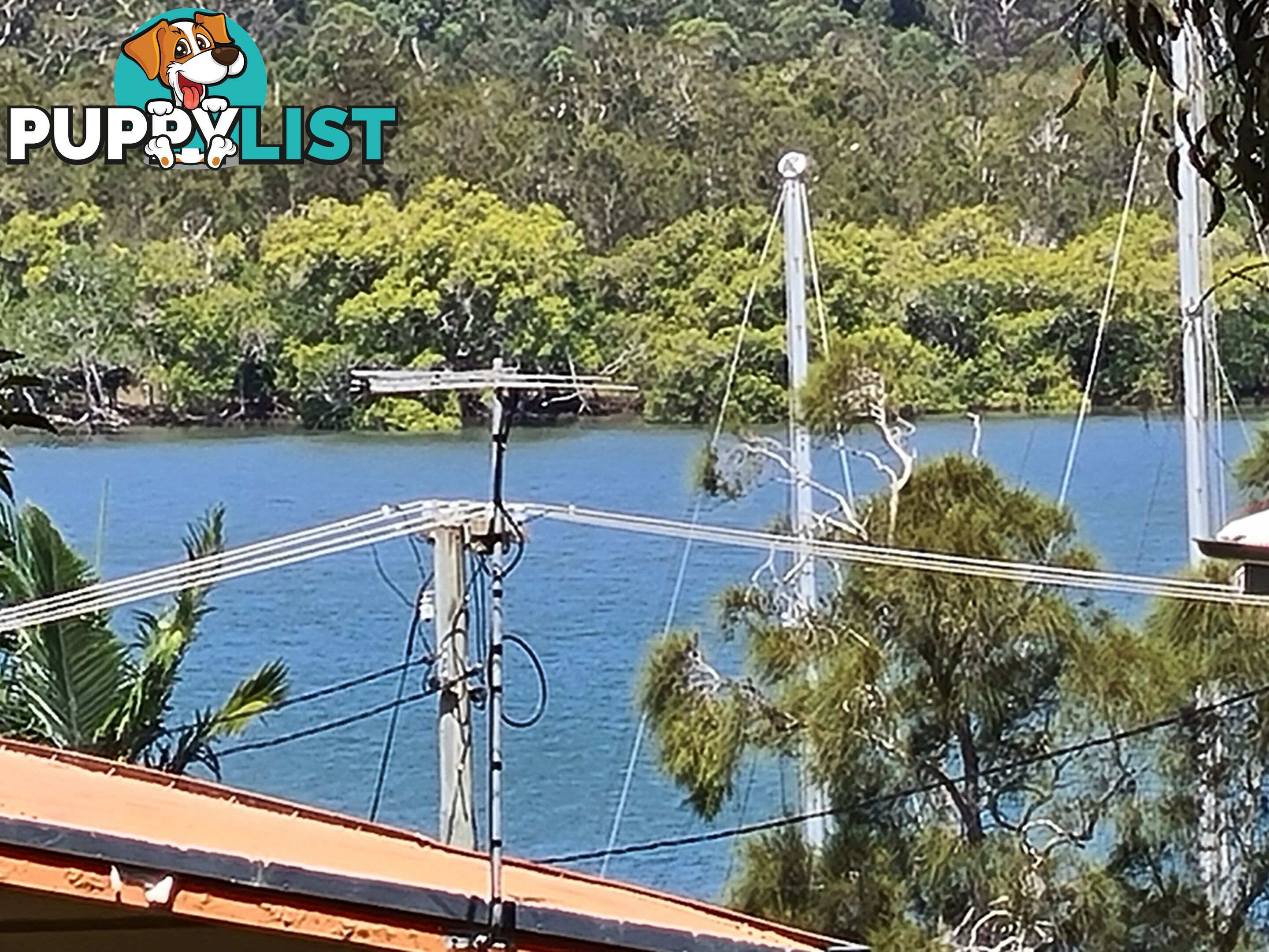 6 Island View Road RUSSELL ISLAND QLD 4184