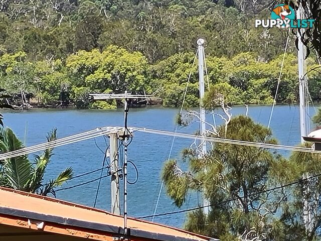 6 Island View Road RUSSELL ISLAND QLD 4184