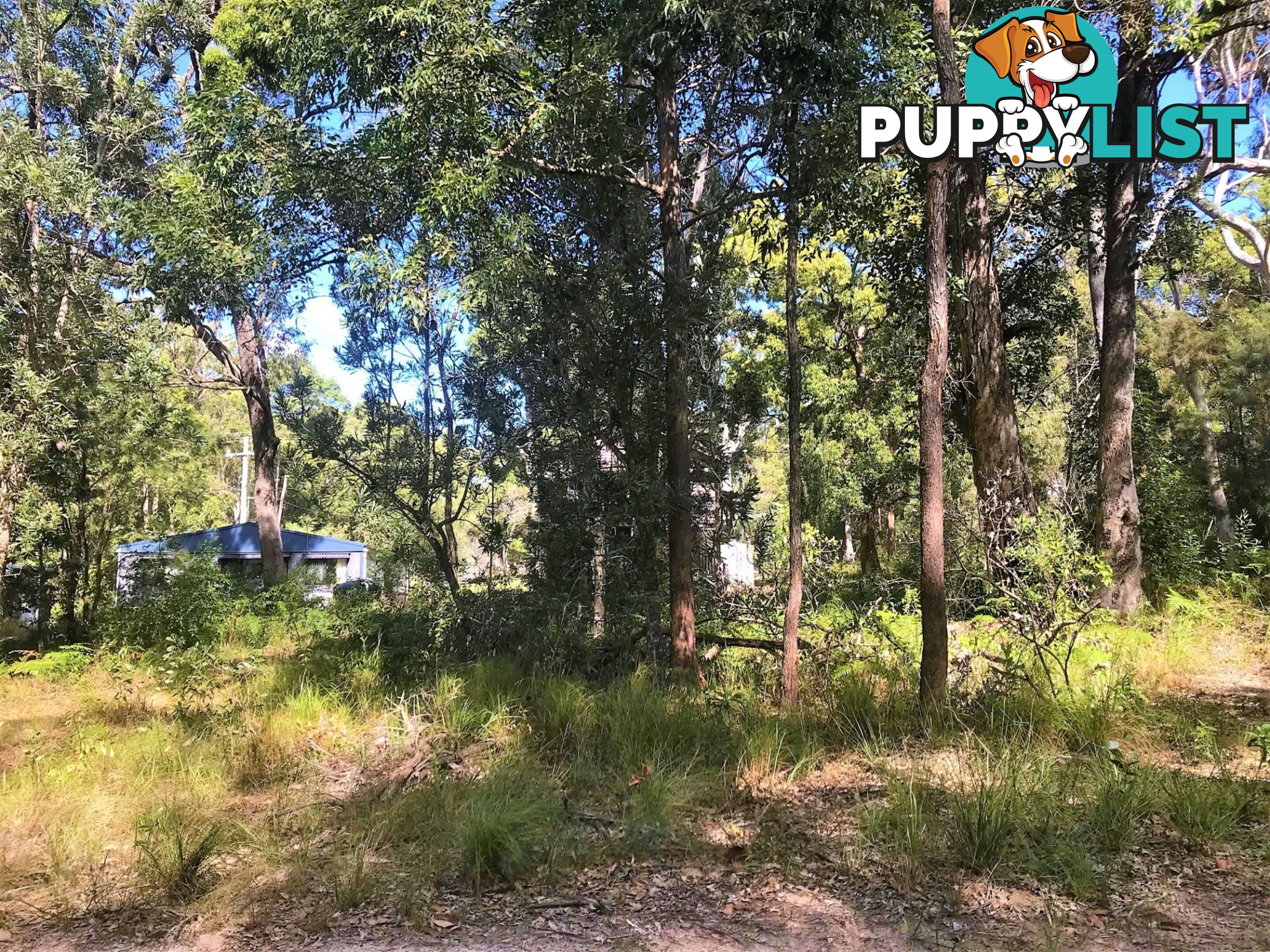 42 Falconhurst Road RUSSELL ISLAND QLD 4184