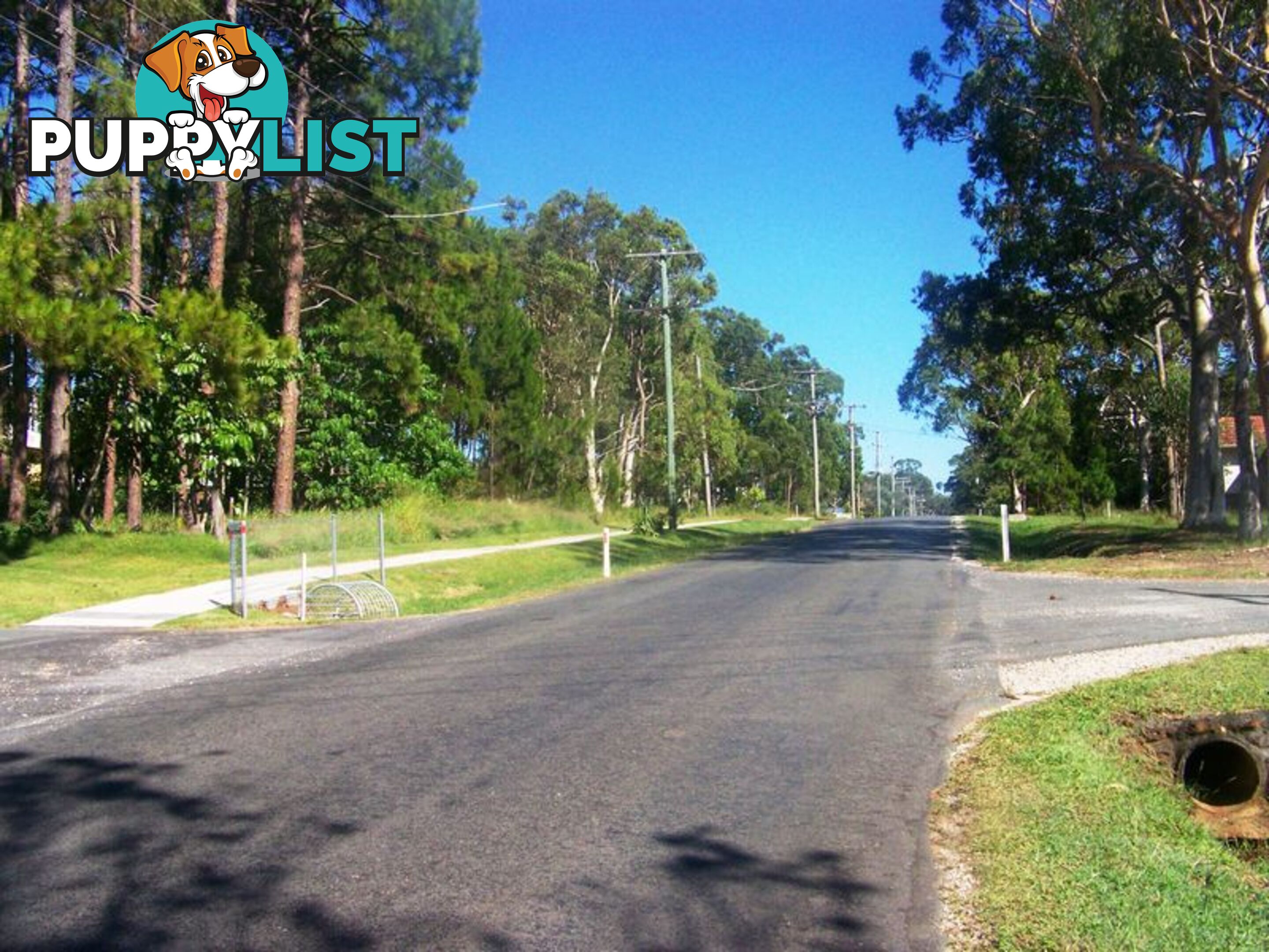 48 Canaipa Rd RUSSELL ISLAND QLD 4184