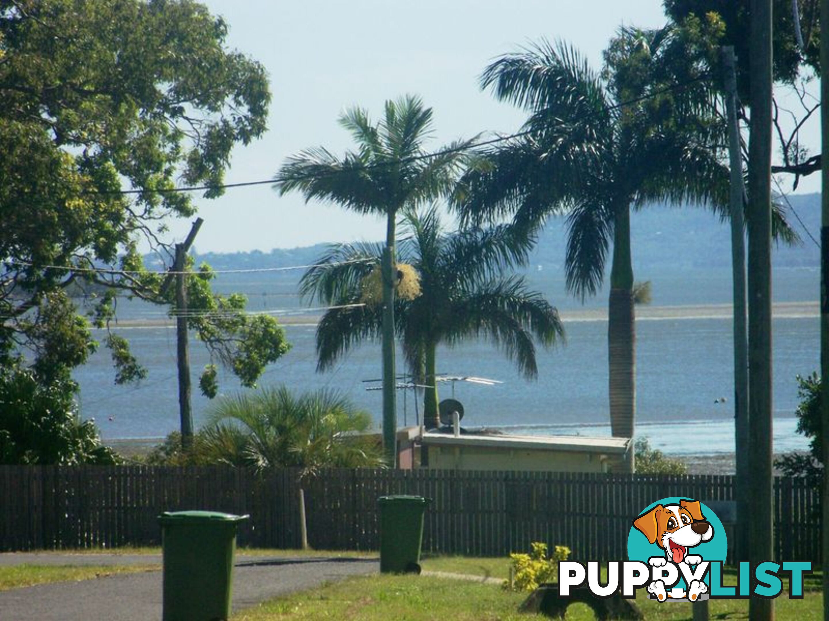 48 Canaipa Rd RUSSELL ISLAND QLD 4184