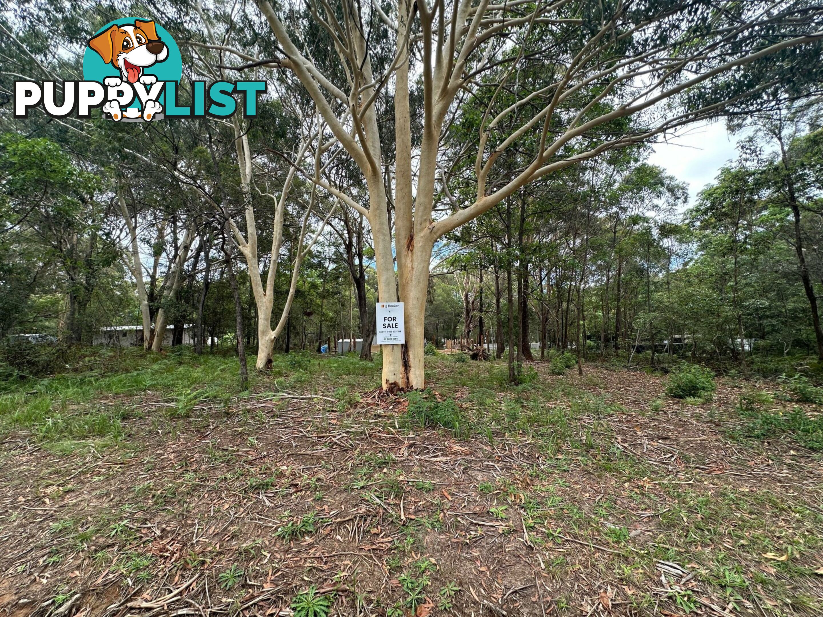 8 Bowen Avenue RUSSELL ISLAND QLD 4184