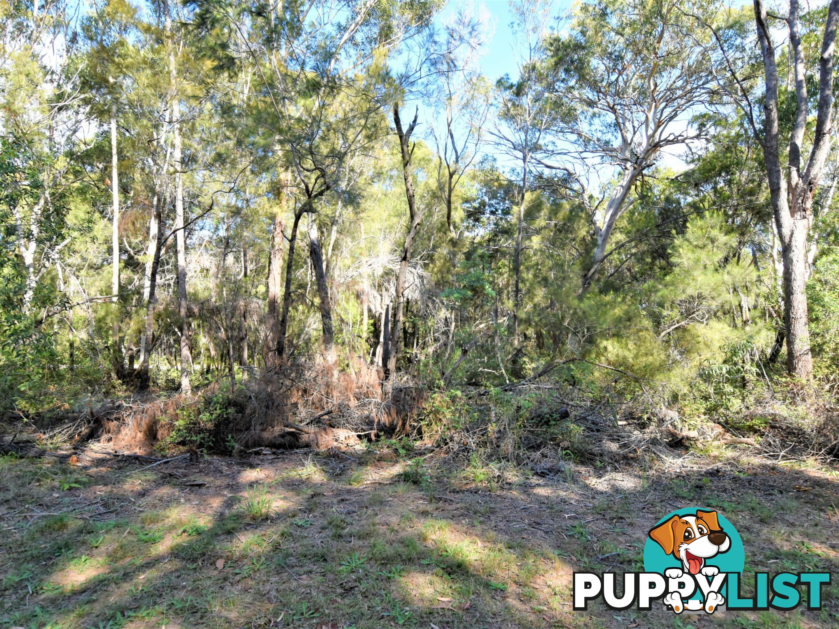 14 Coleus Street RUSSELL ISLAND QLD 4184