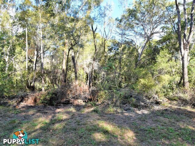 14 Coleus Street RUSSELL ISLAND QLD 4184