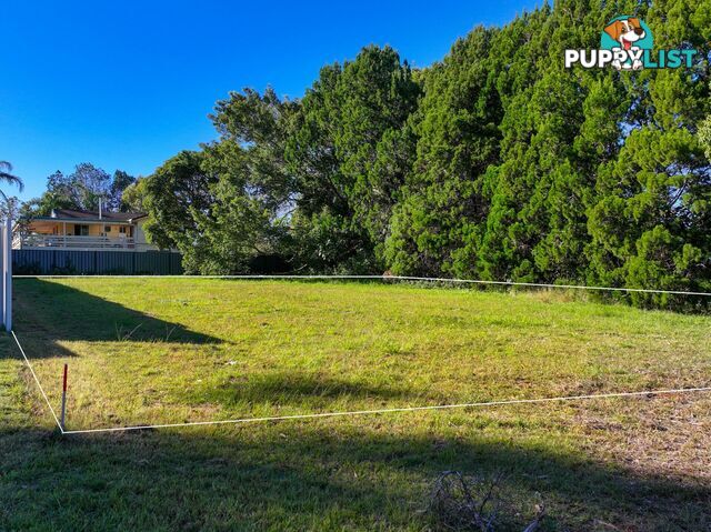 13 Harvey Street RUSSELL ISLAND QLD 4184