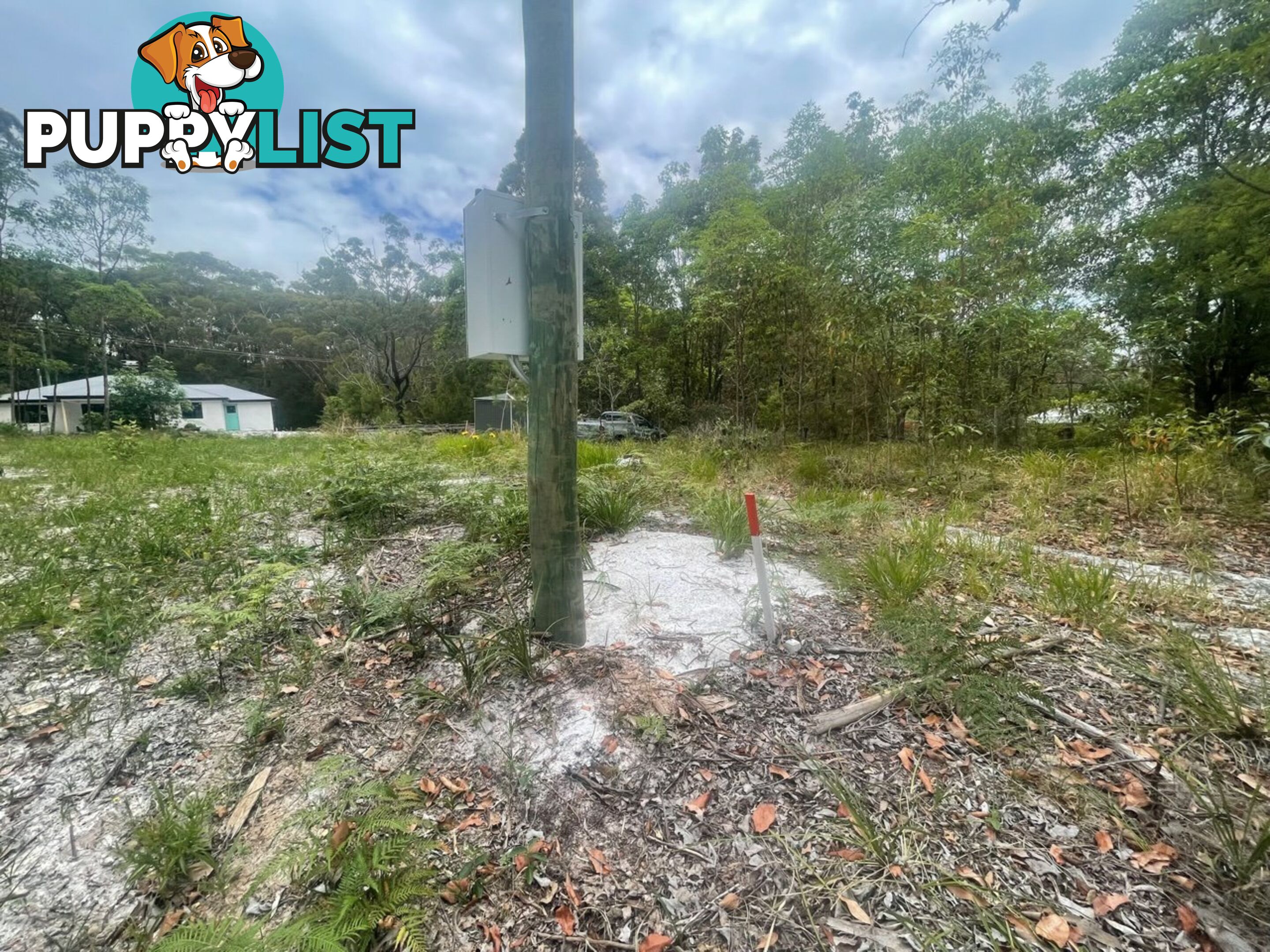 8 Basket Beach Road RUSSELL ISLAND QLD 4184