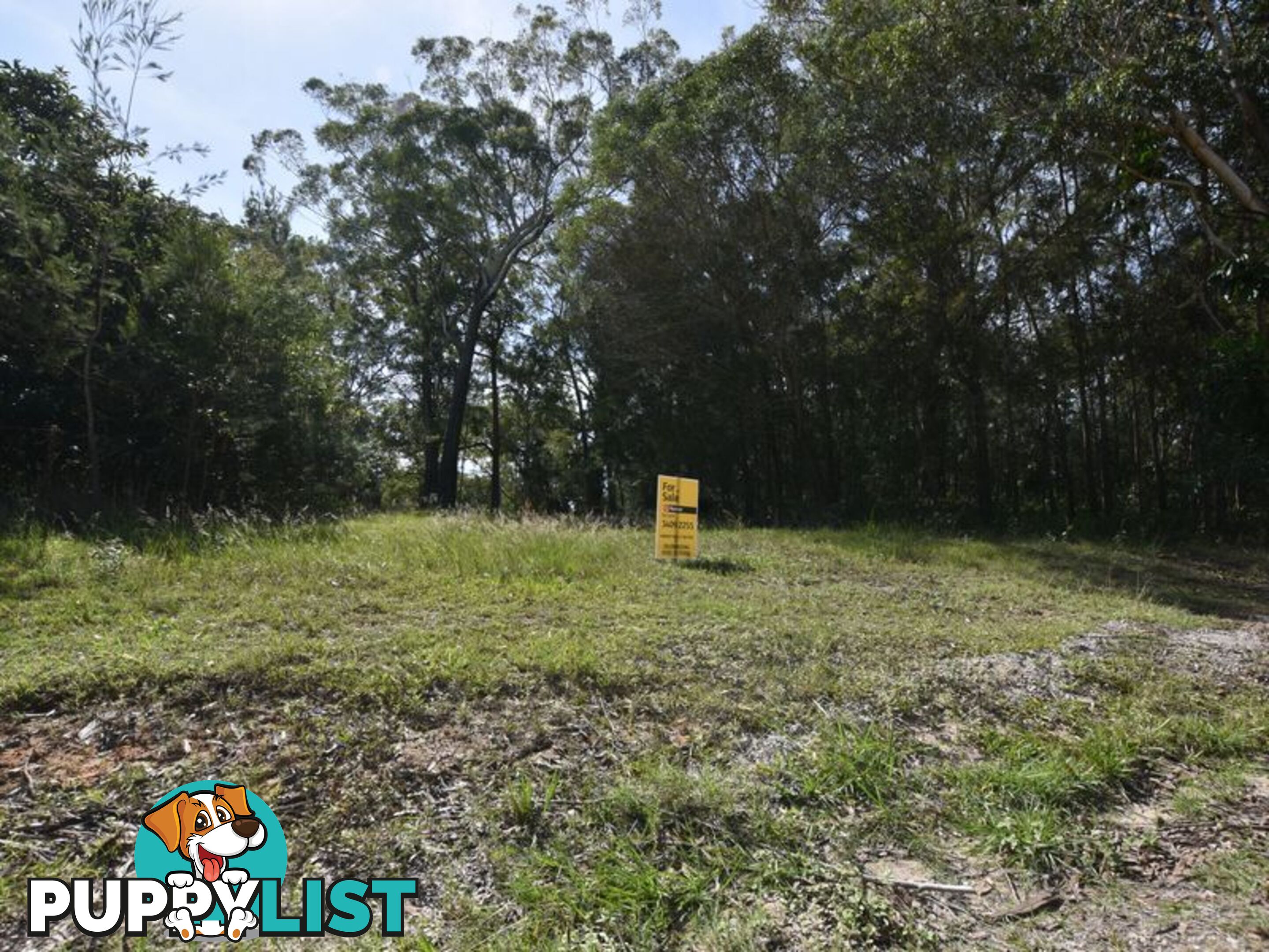 29 Harvey RUSSELL ISLAND QLD 4184