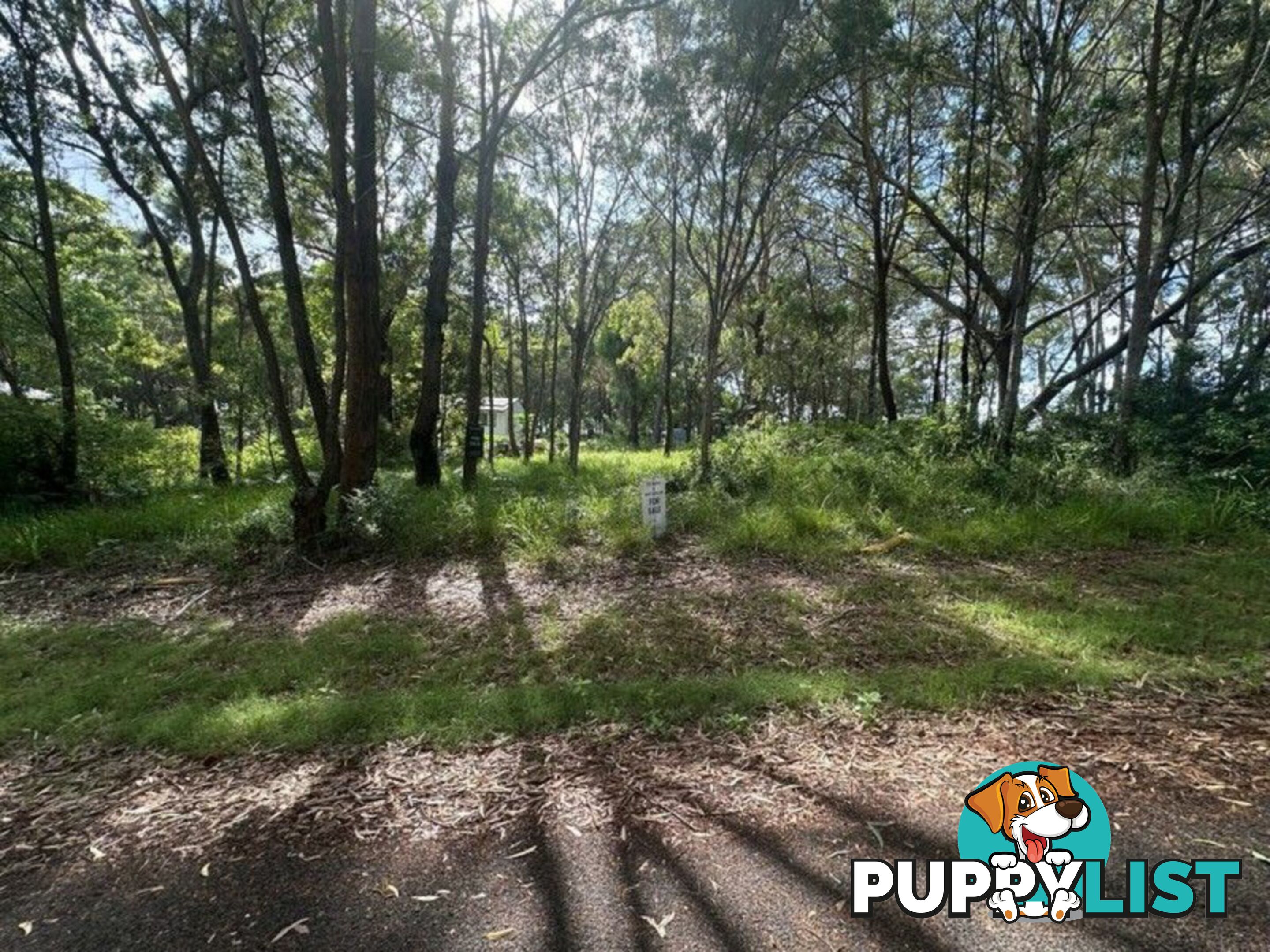 20 Aranda Street RUSSELL ISLAND QLD 4184