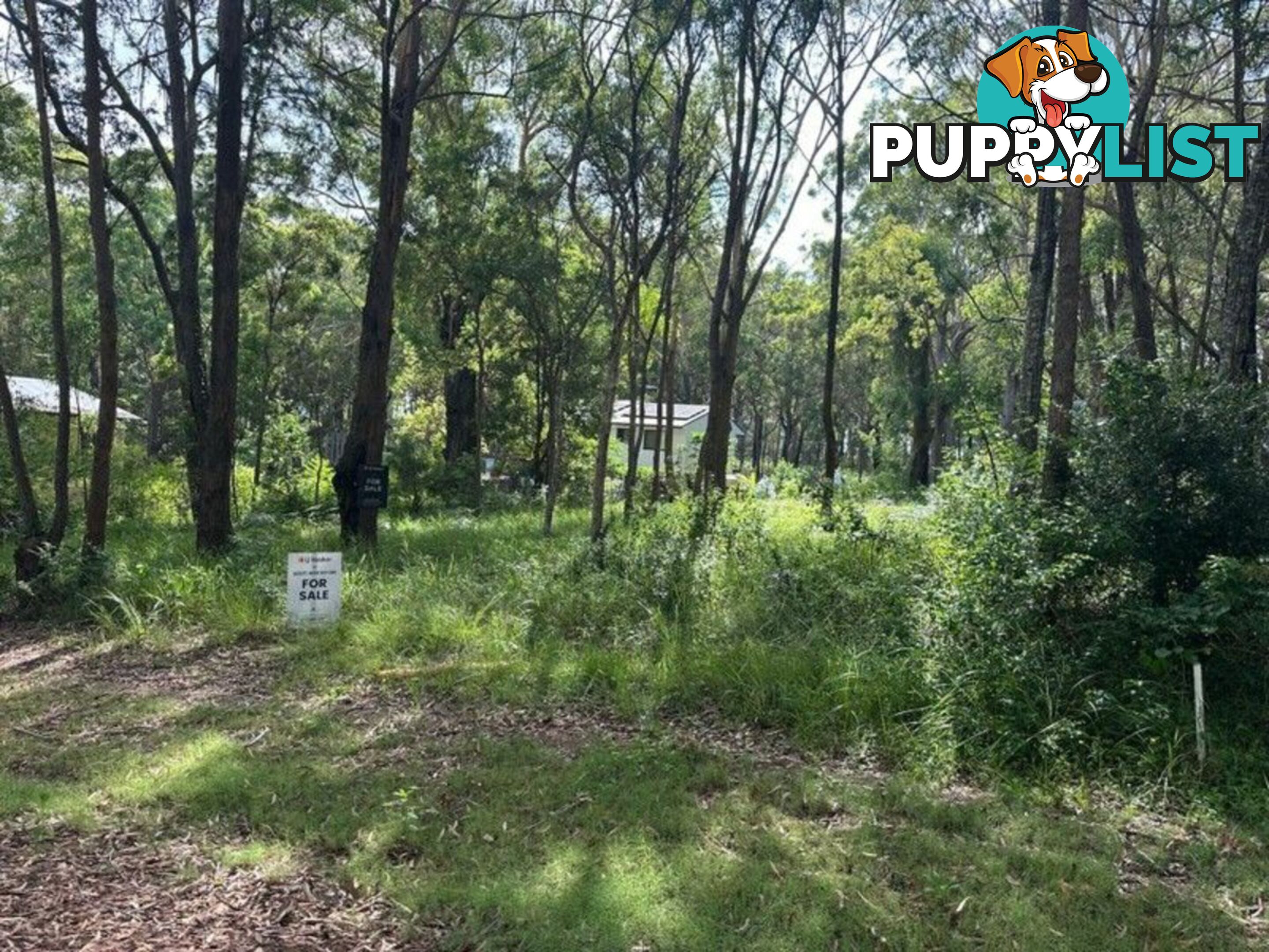 20 Aranda Street RUSSELL ISLAND QLD 4184