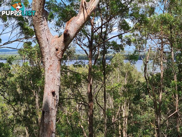 52 Deenya Parade RUSSELL ISLAND QLD 4184