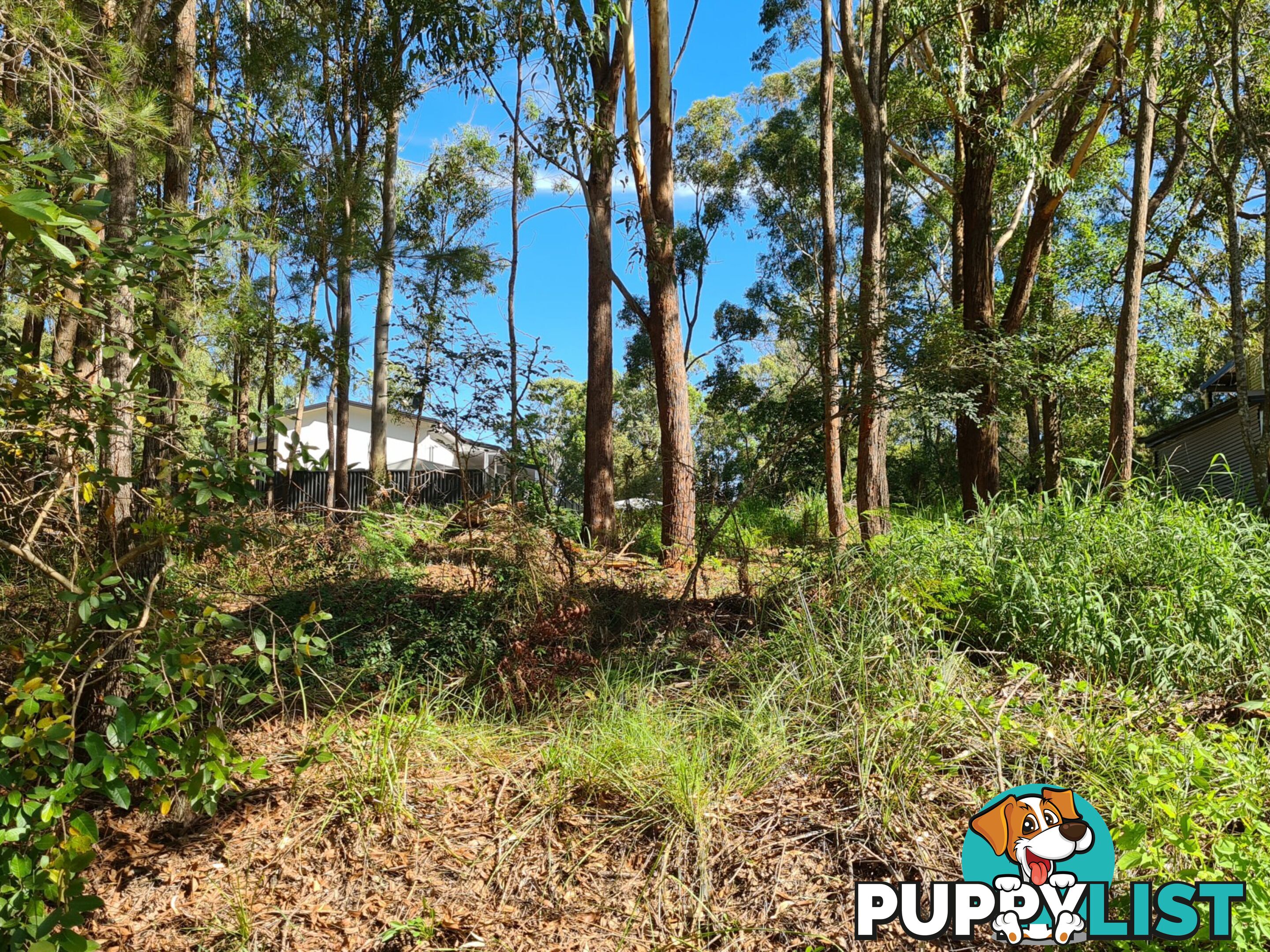 58 Hume Street RUSSELL ISLAND QLD 4184