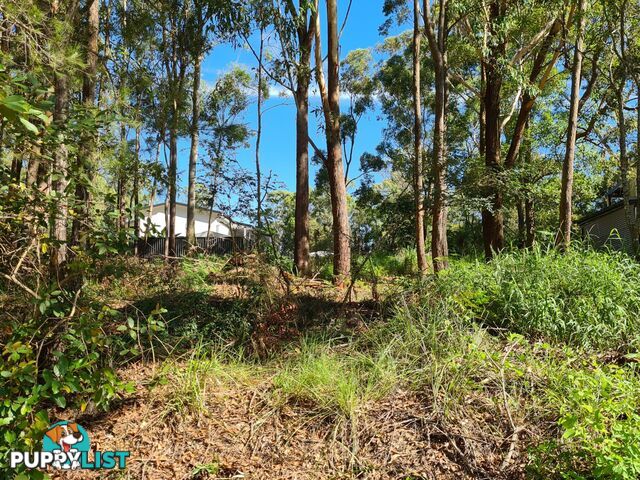 58 Hume Street RUSSELL ISLAND QLD 4184