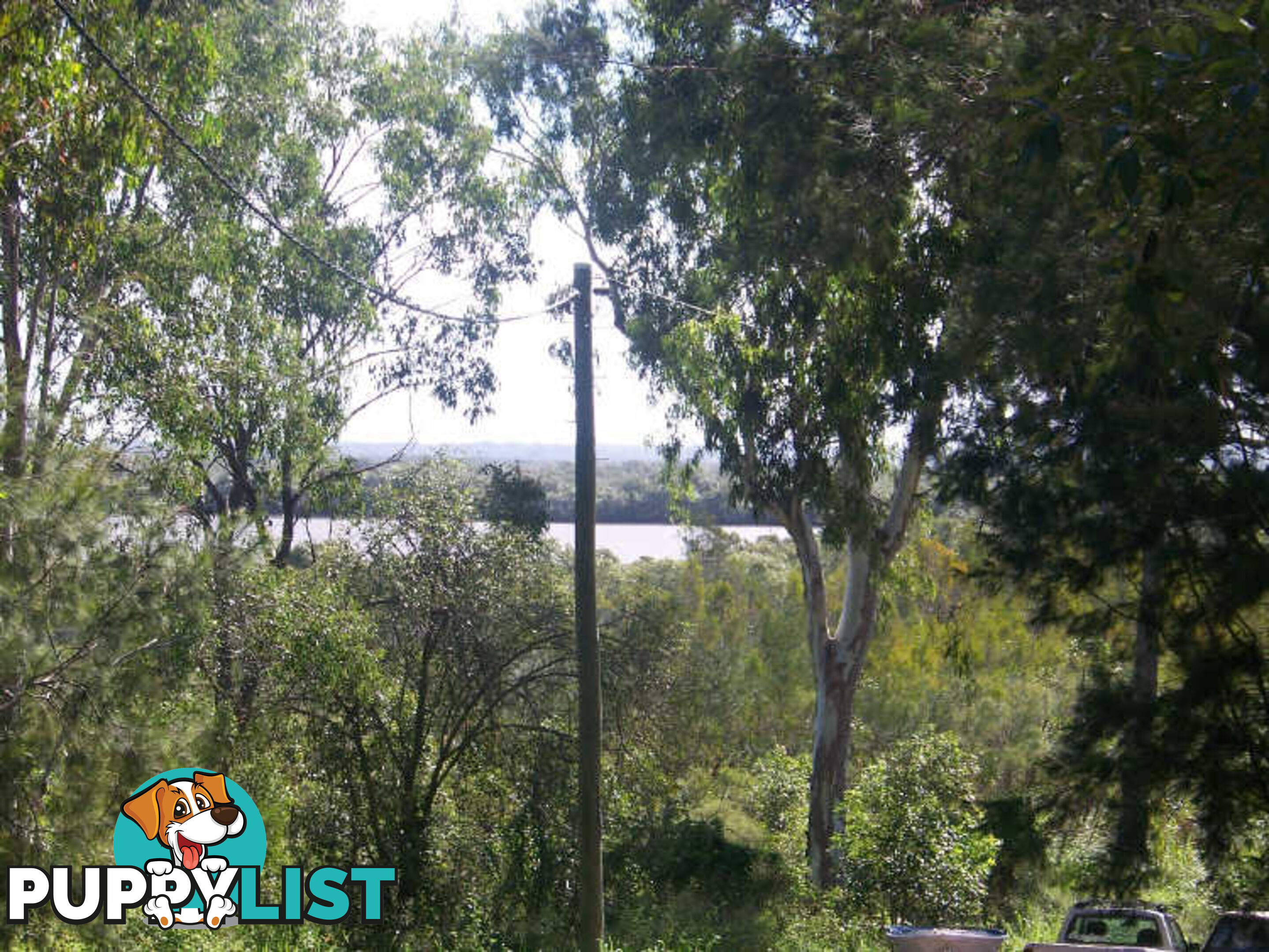 6 Aster St RUSSELL ISLAND QLD 4184